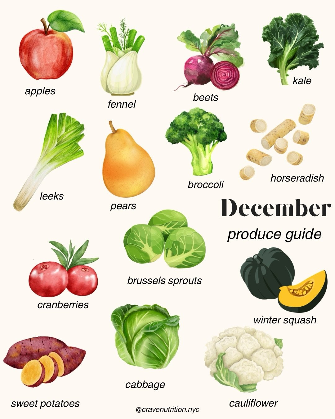 🍐 December&rsquo;s bounty is here! From crisp pears to cozy cauliflower, in-season produce makes meals flavorful and nutritious. Make sure to grab some of these delicious fruits and veggies on your next grocery trip! 

➡️ swipe for my go-to December