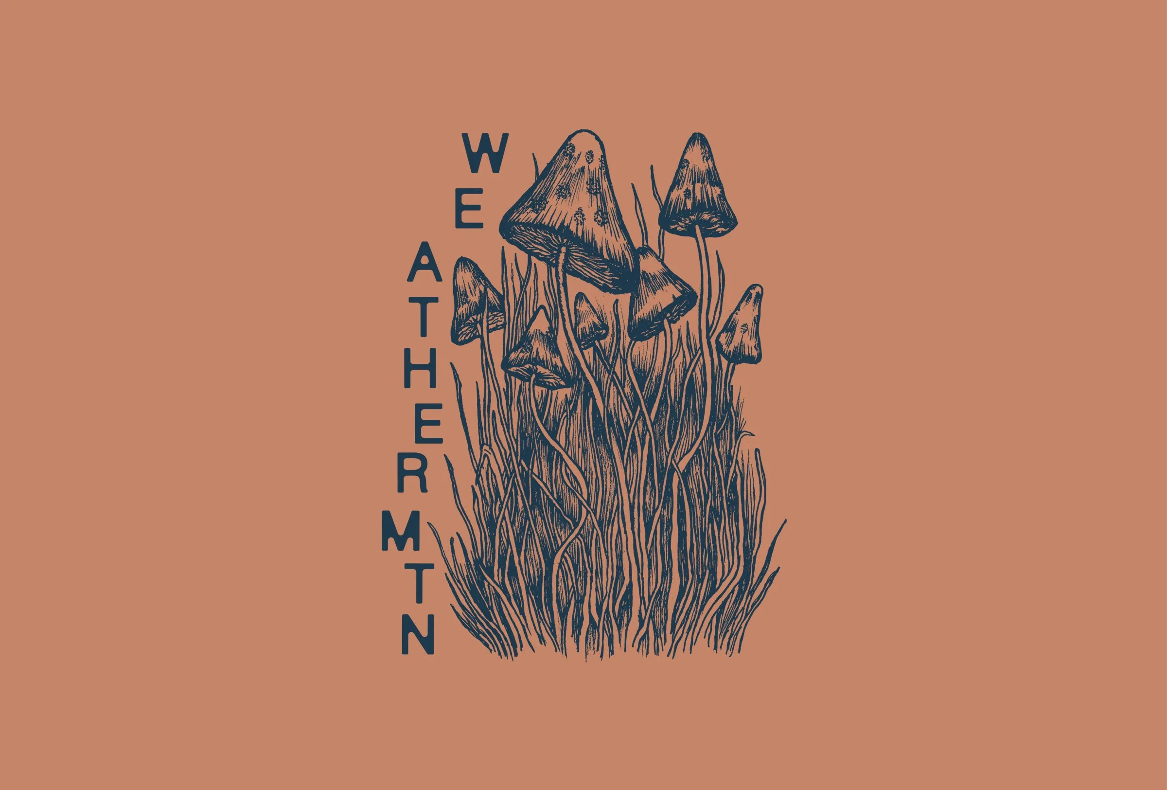 WEATHERMTN_07.jpg