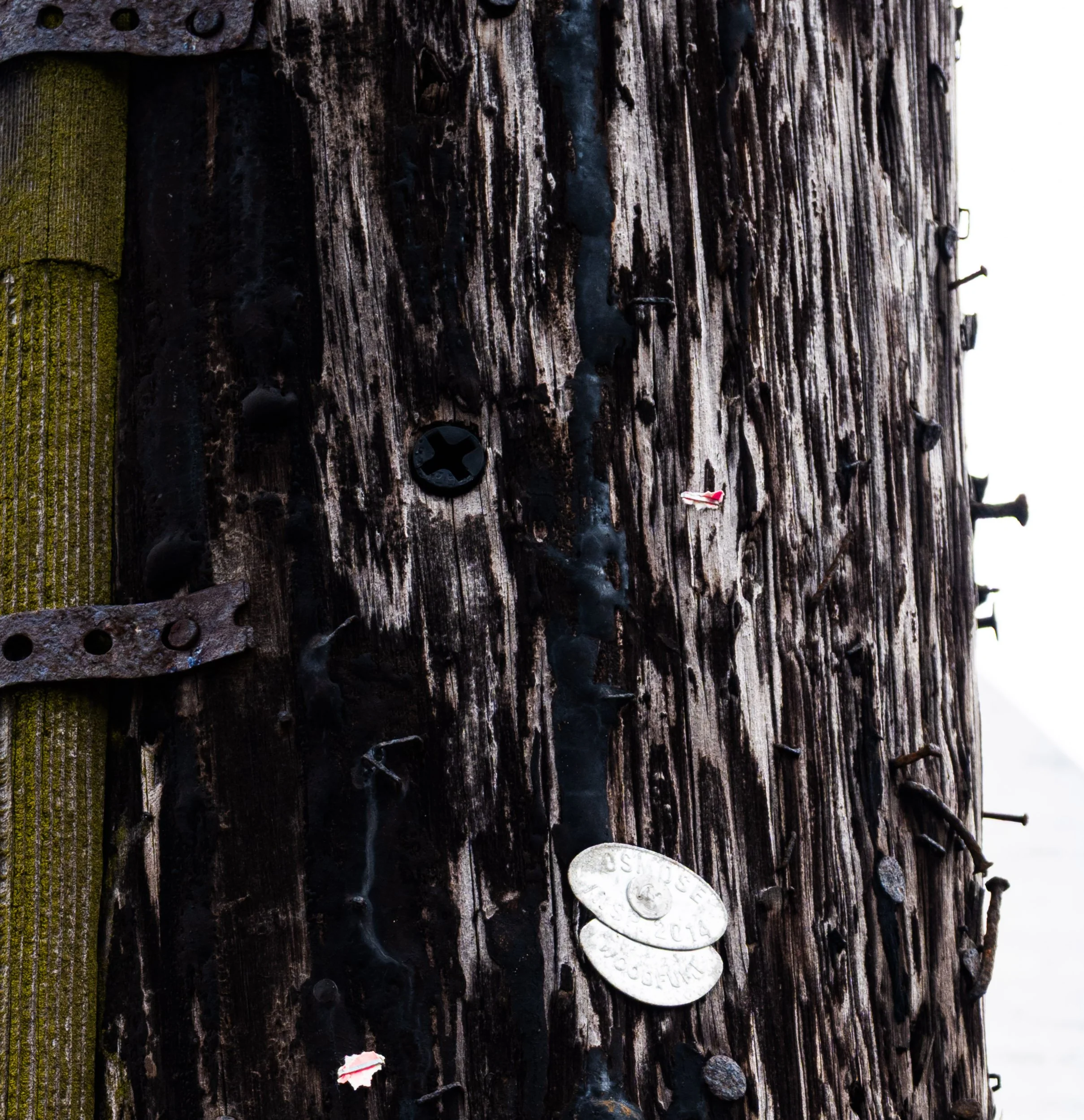 zoom pole wood tattered.jpg