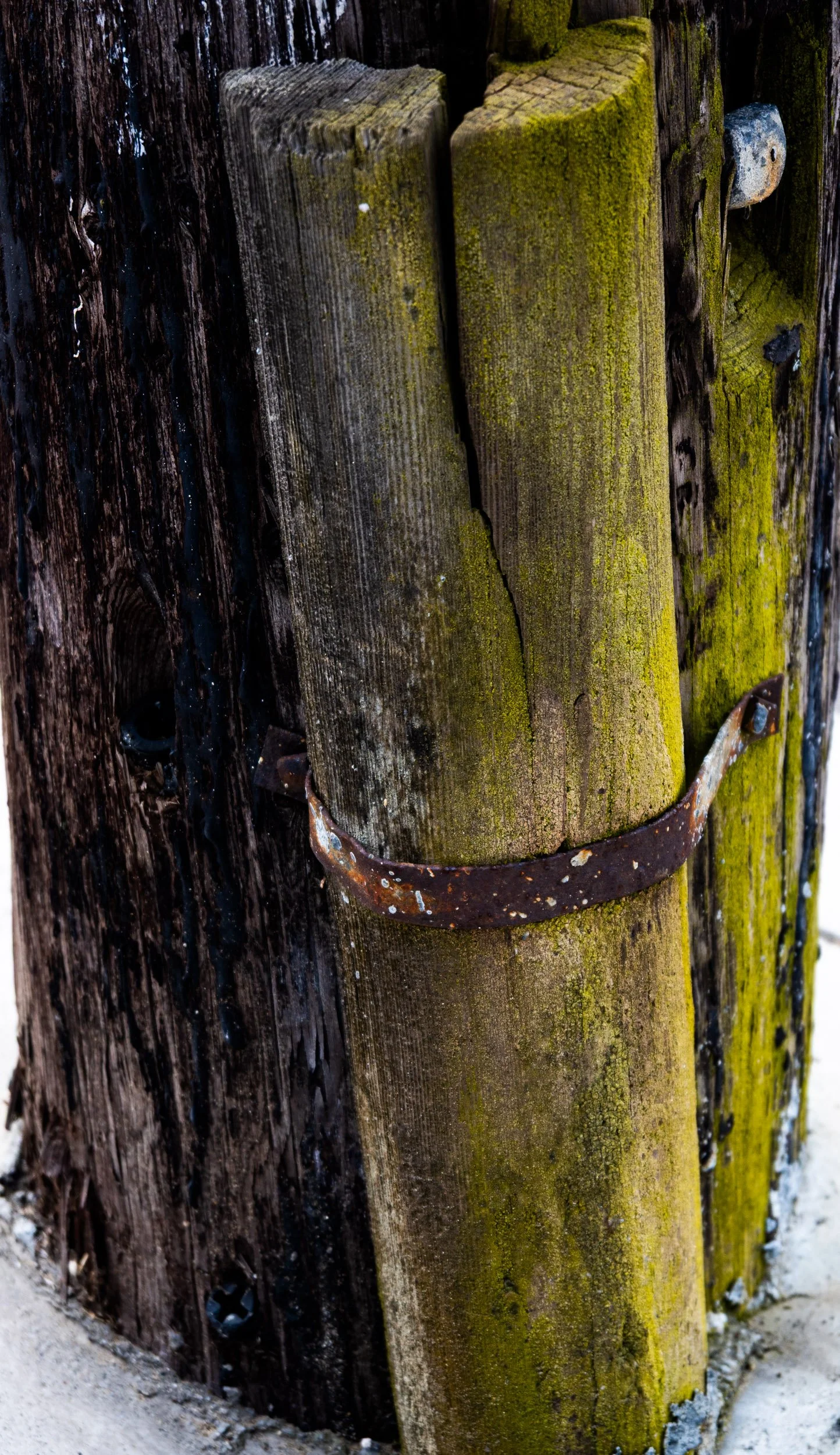 zoom pole base green.jpg