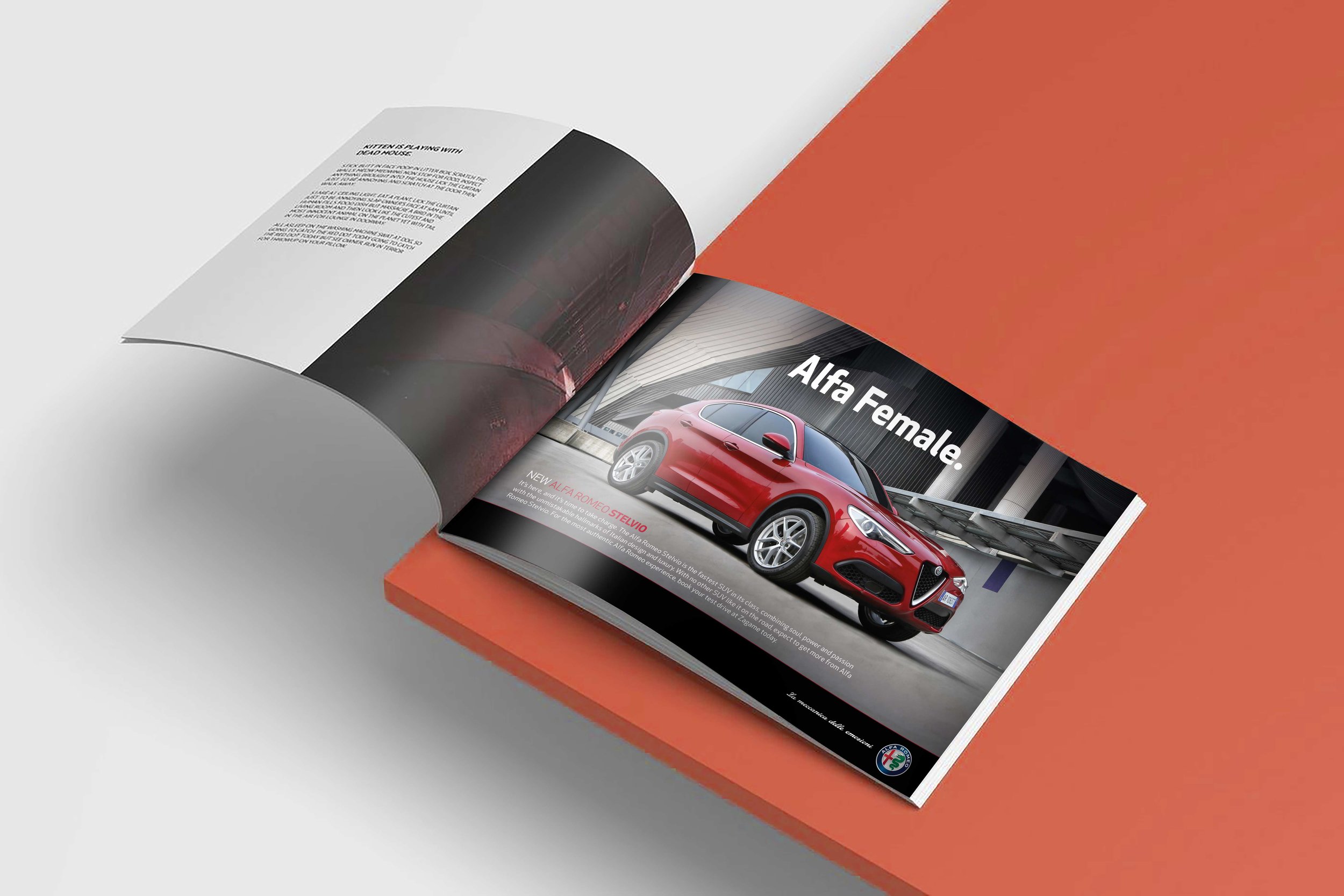 Book2MockupAlfa.jpg
