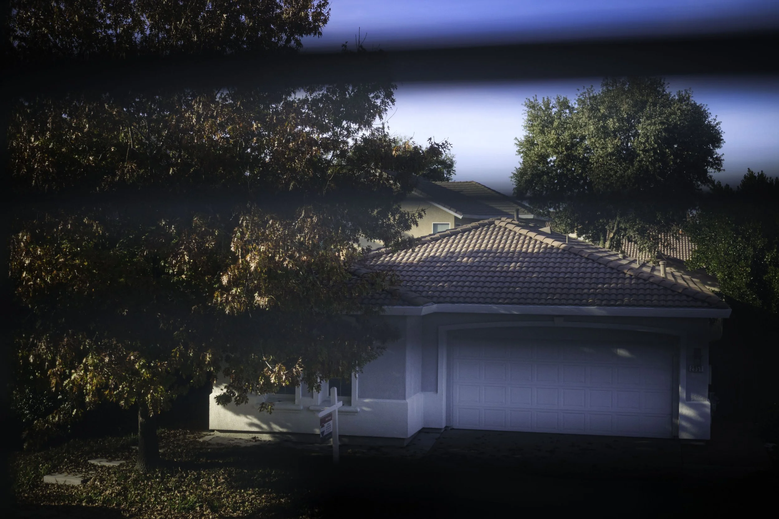 How to See (And Why I Can’t Teach It)