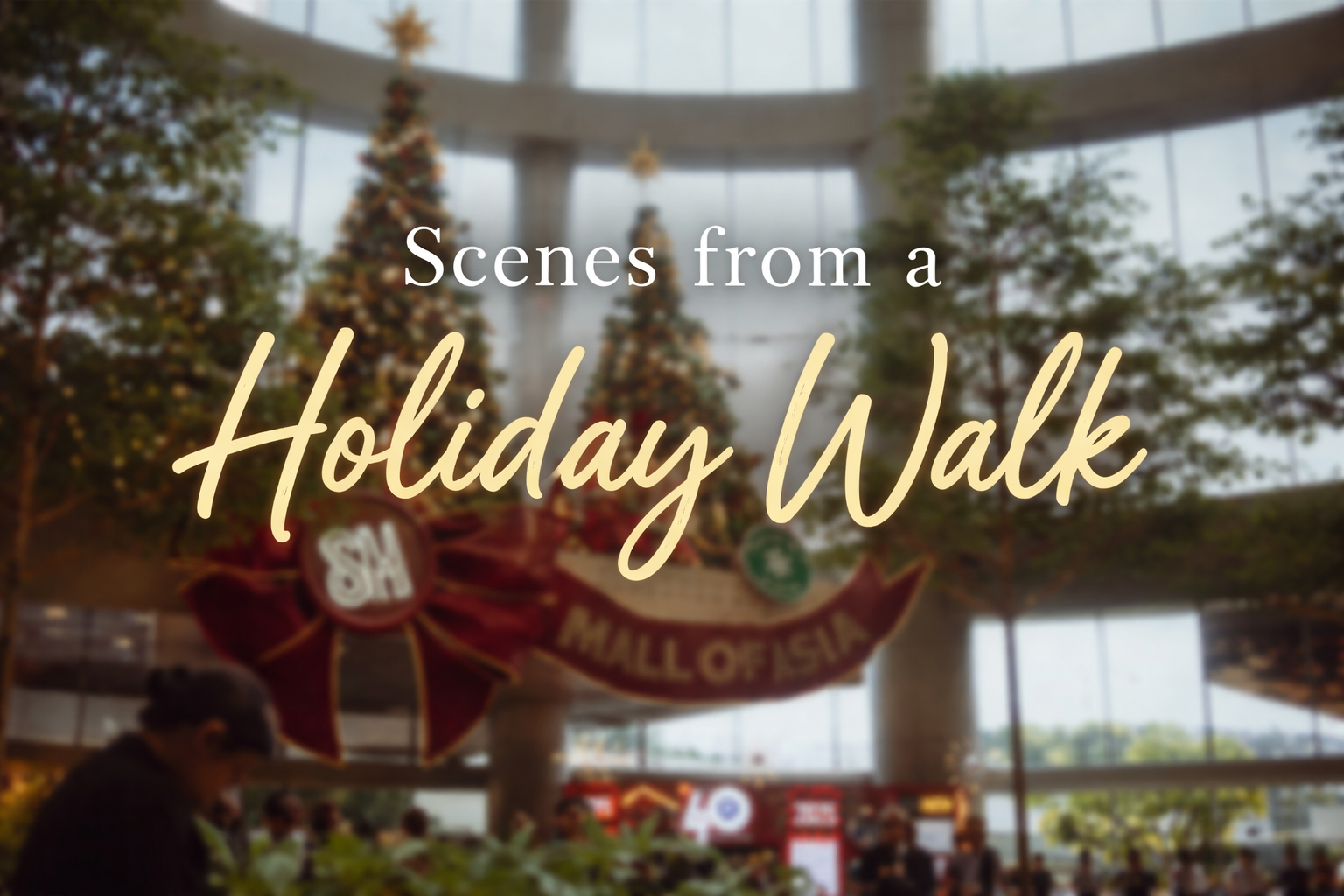 Scenes from a Holiday Walk.