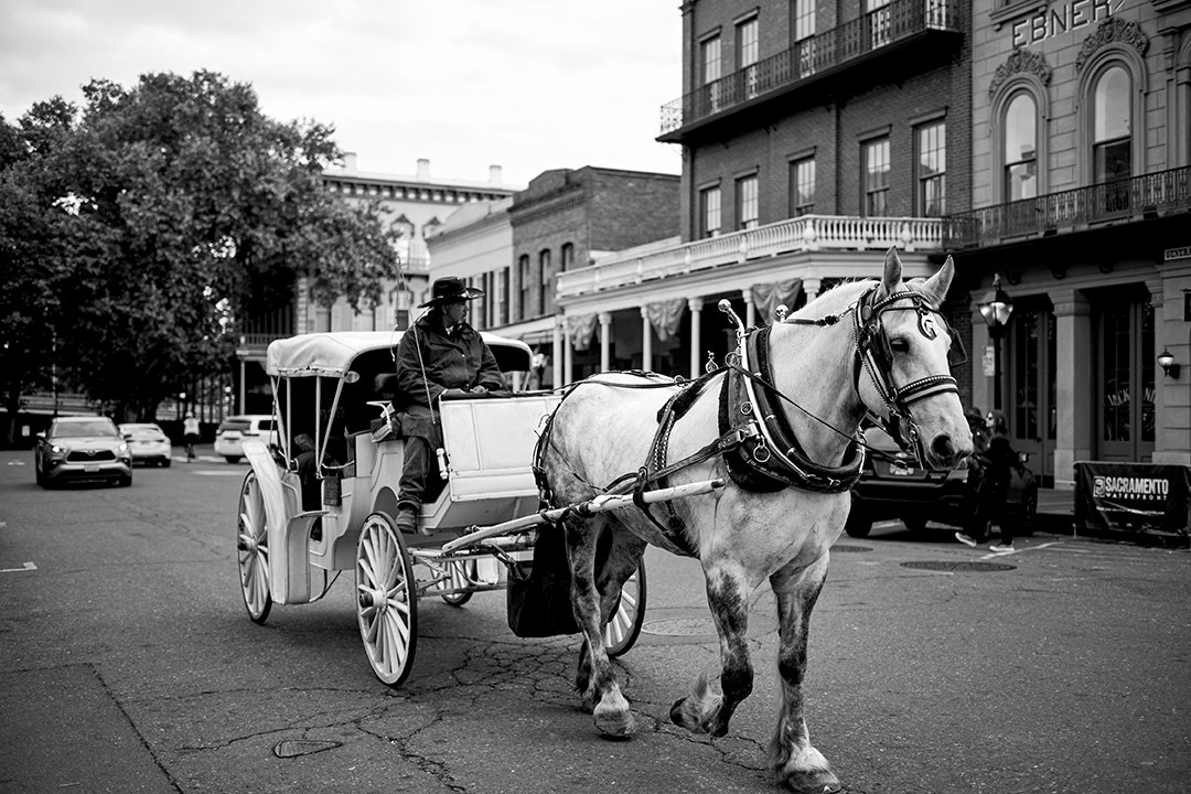 20250428_NIKON Z f_DSC_0564_edit_bw_w.jpg