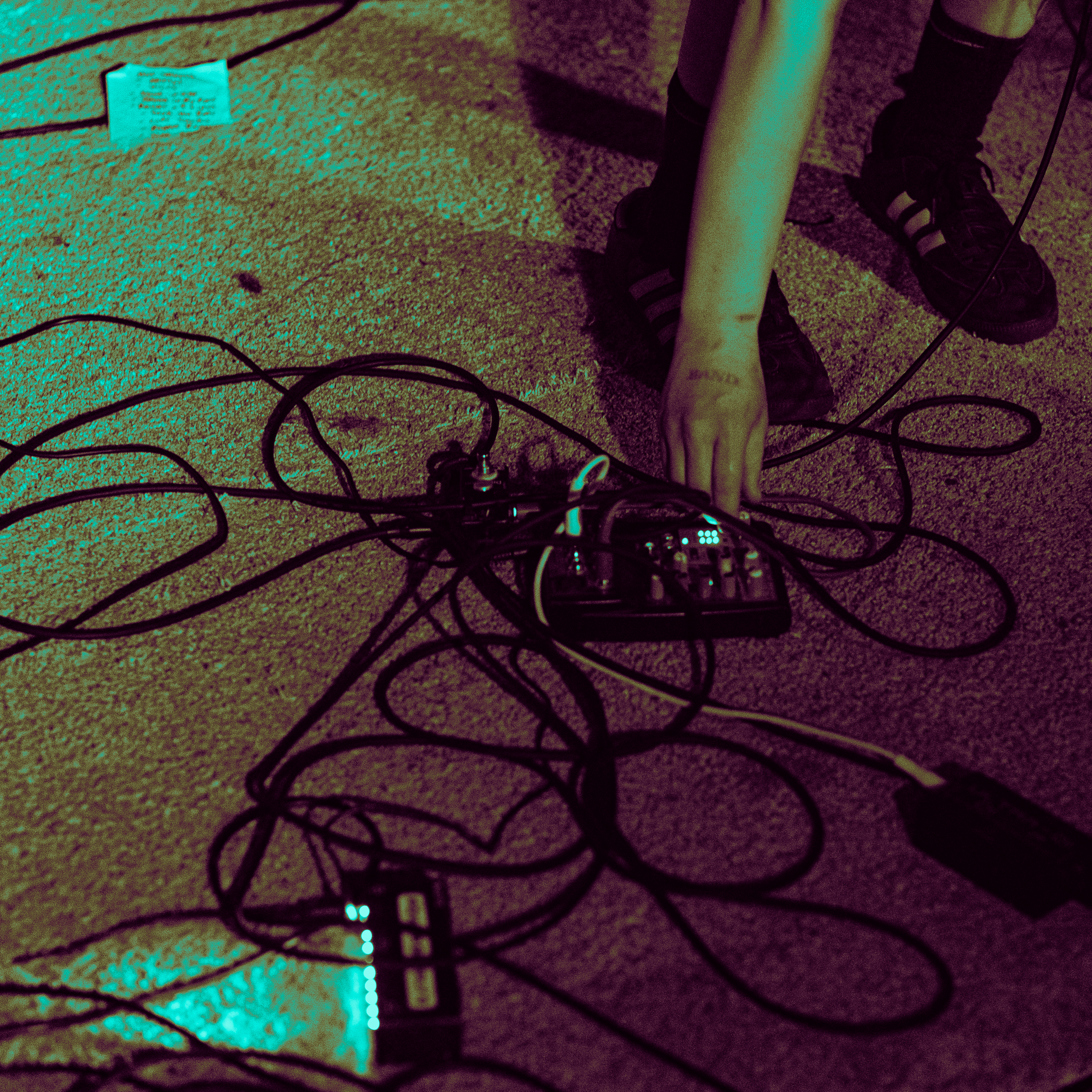 DSC01988.png