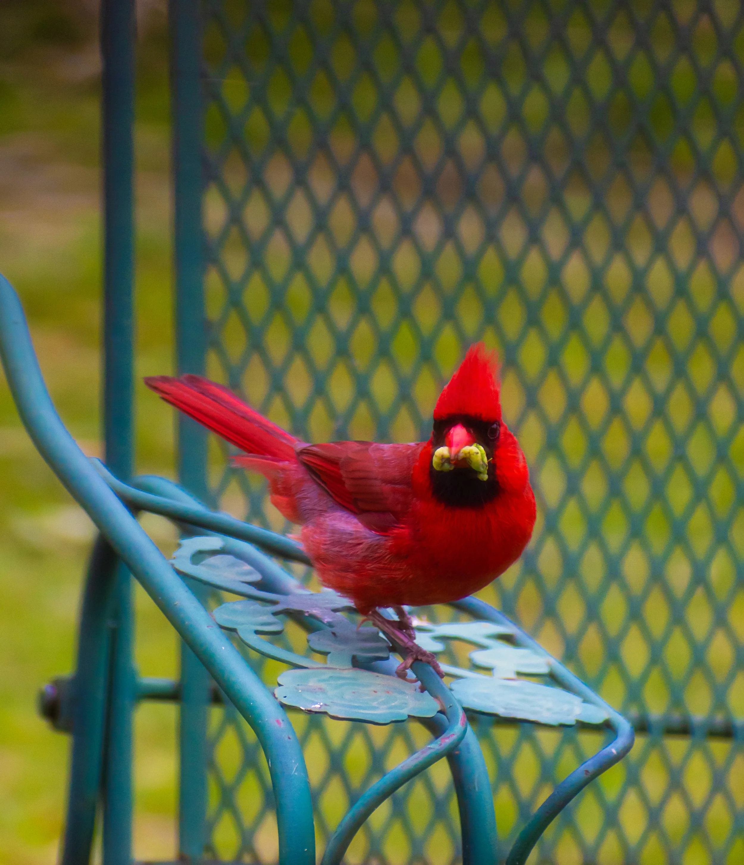 DSC_0140.jpg