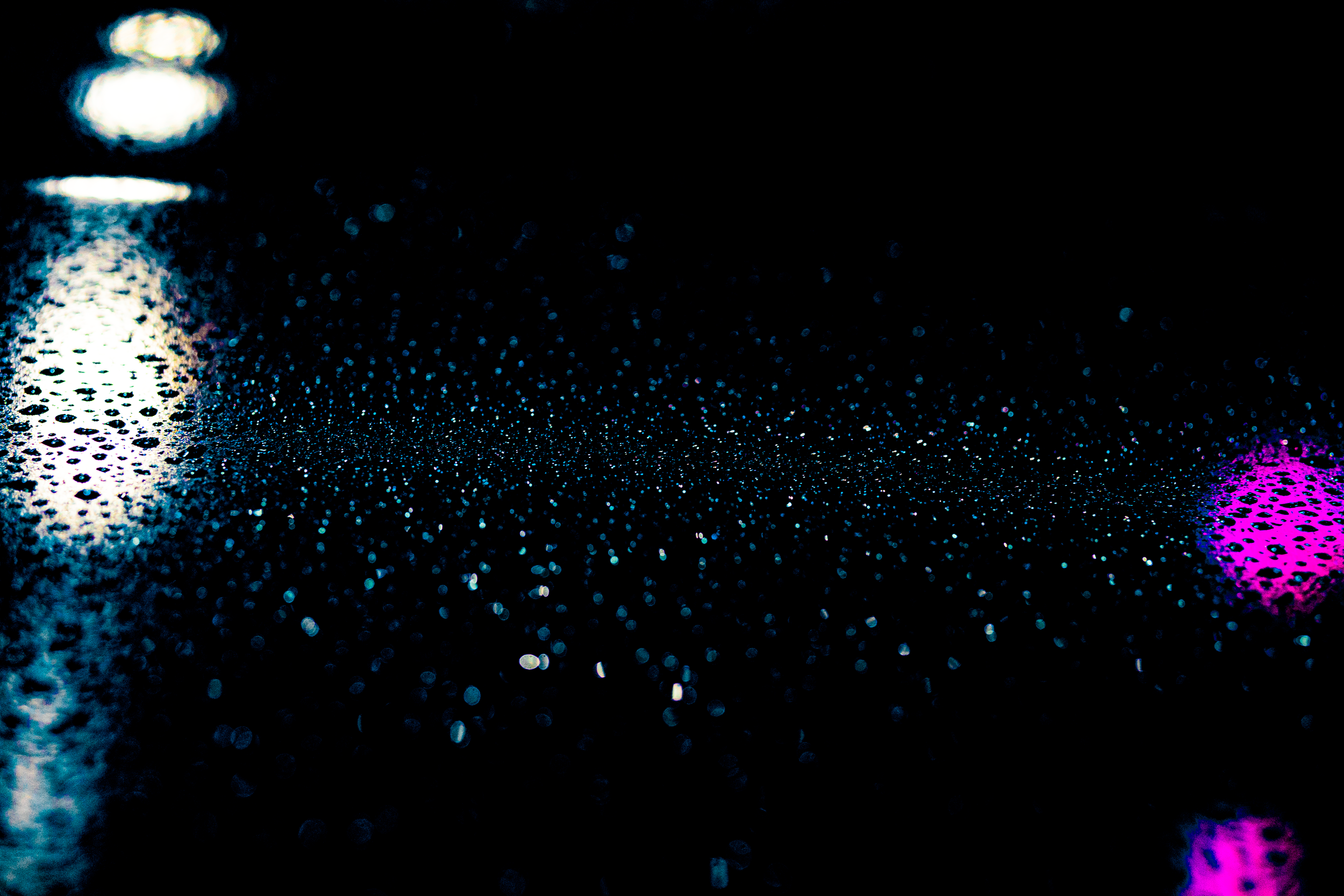 DSC06765.png
