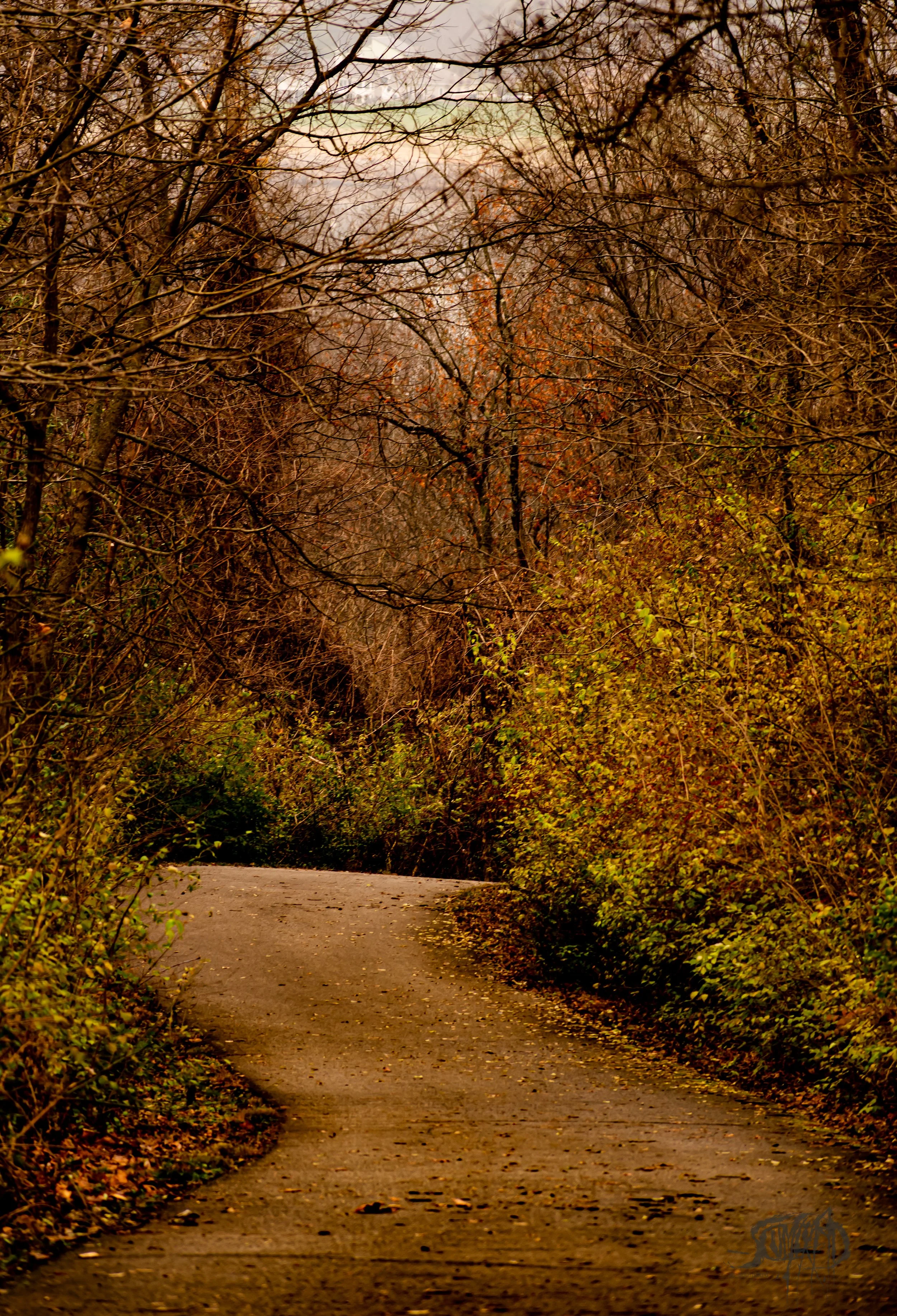 DSC_0917.jpg