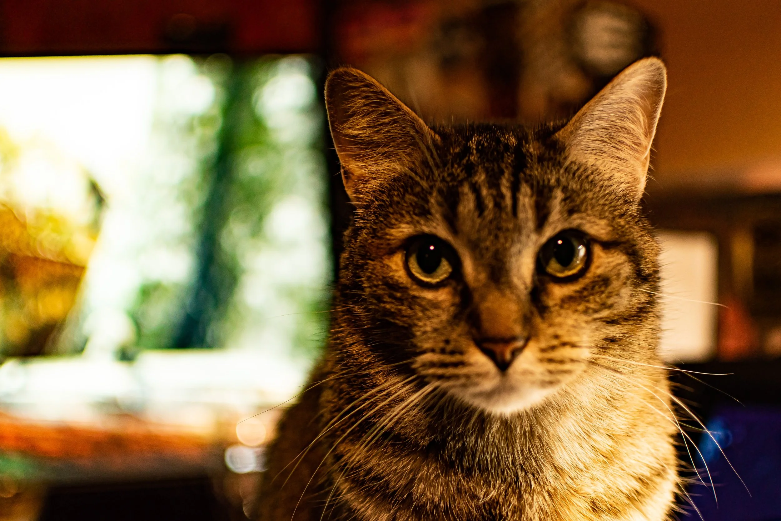 DSC_0425.jpg