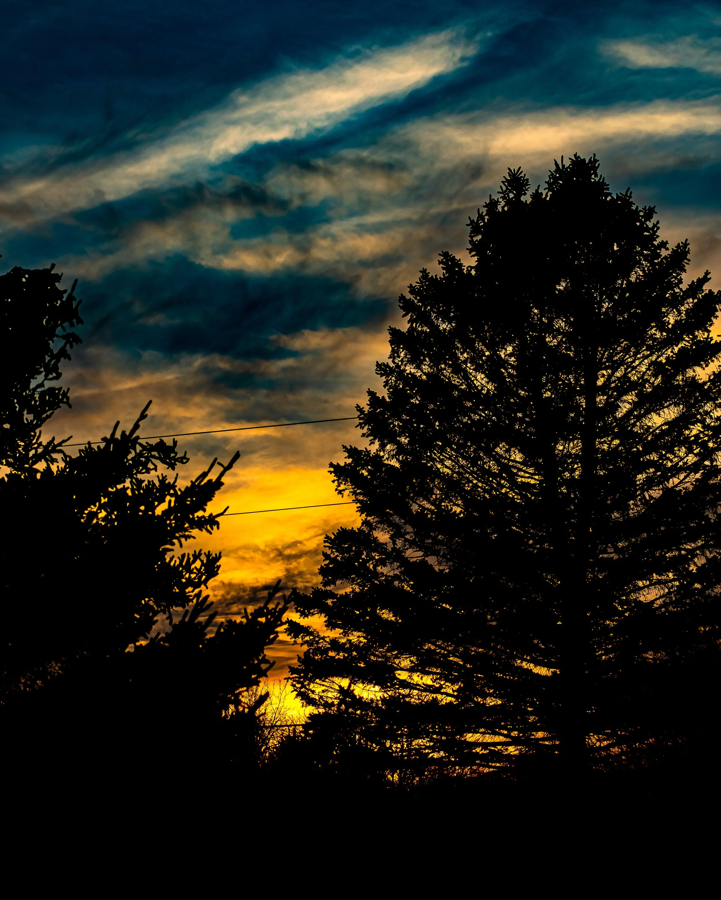 DSC_0114.jpg