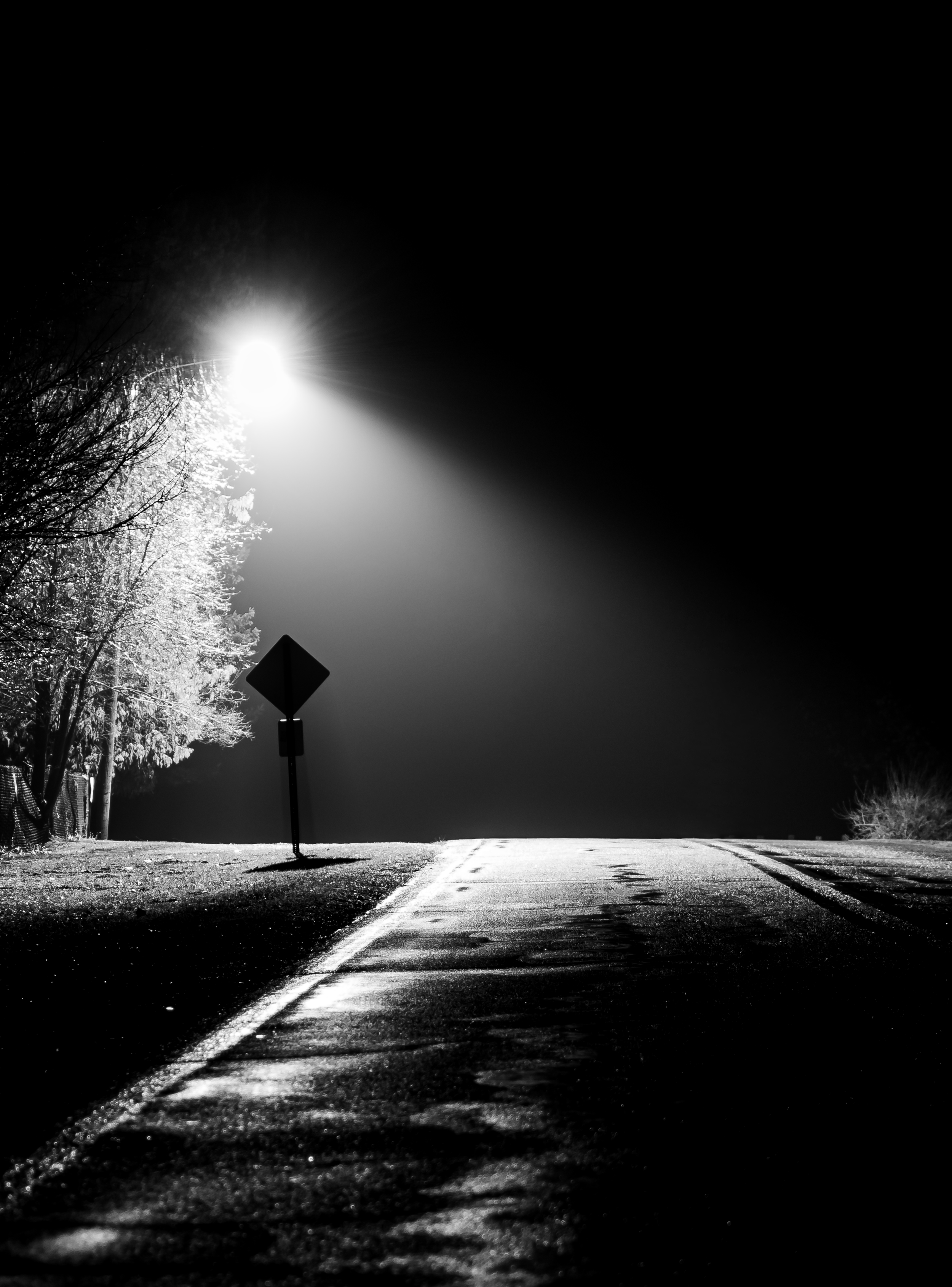 DSC_0387-Edit.png