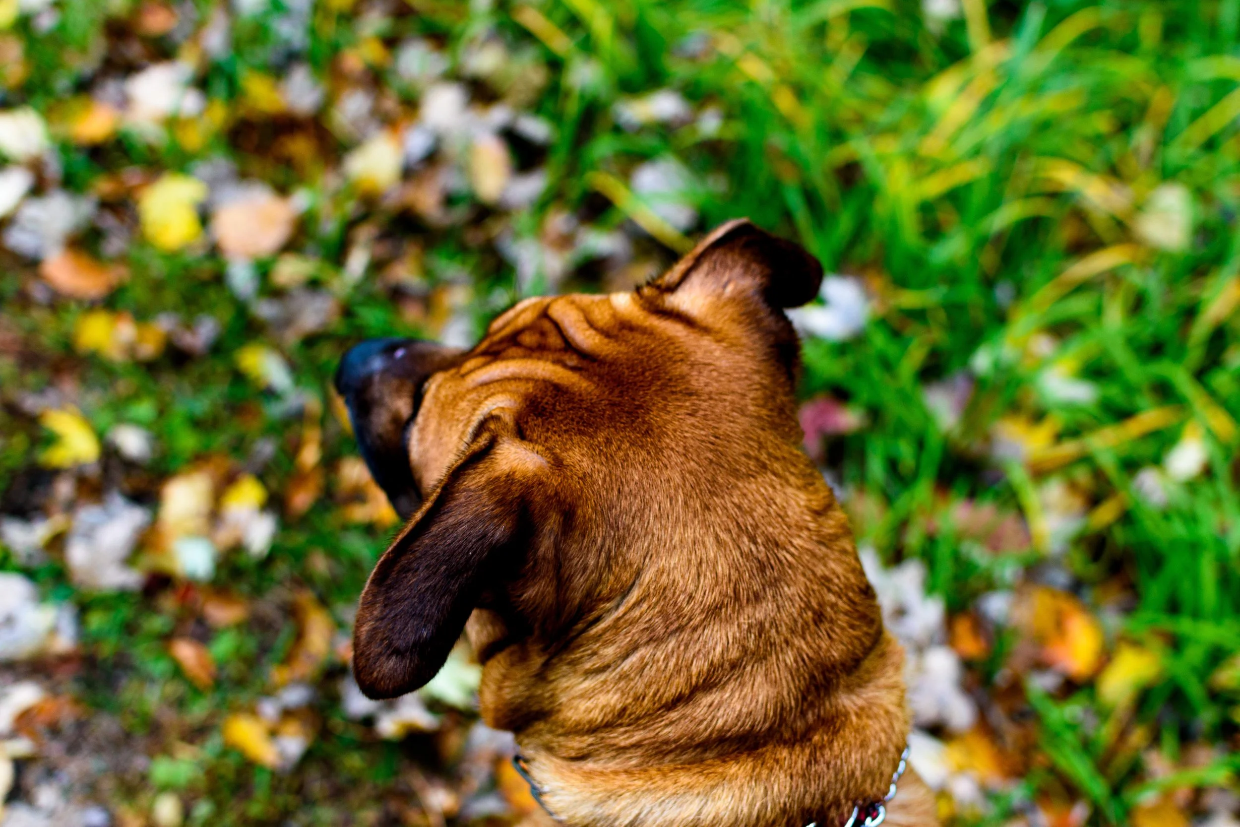 DSC_0002.jpg