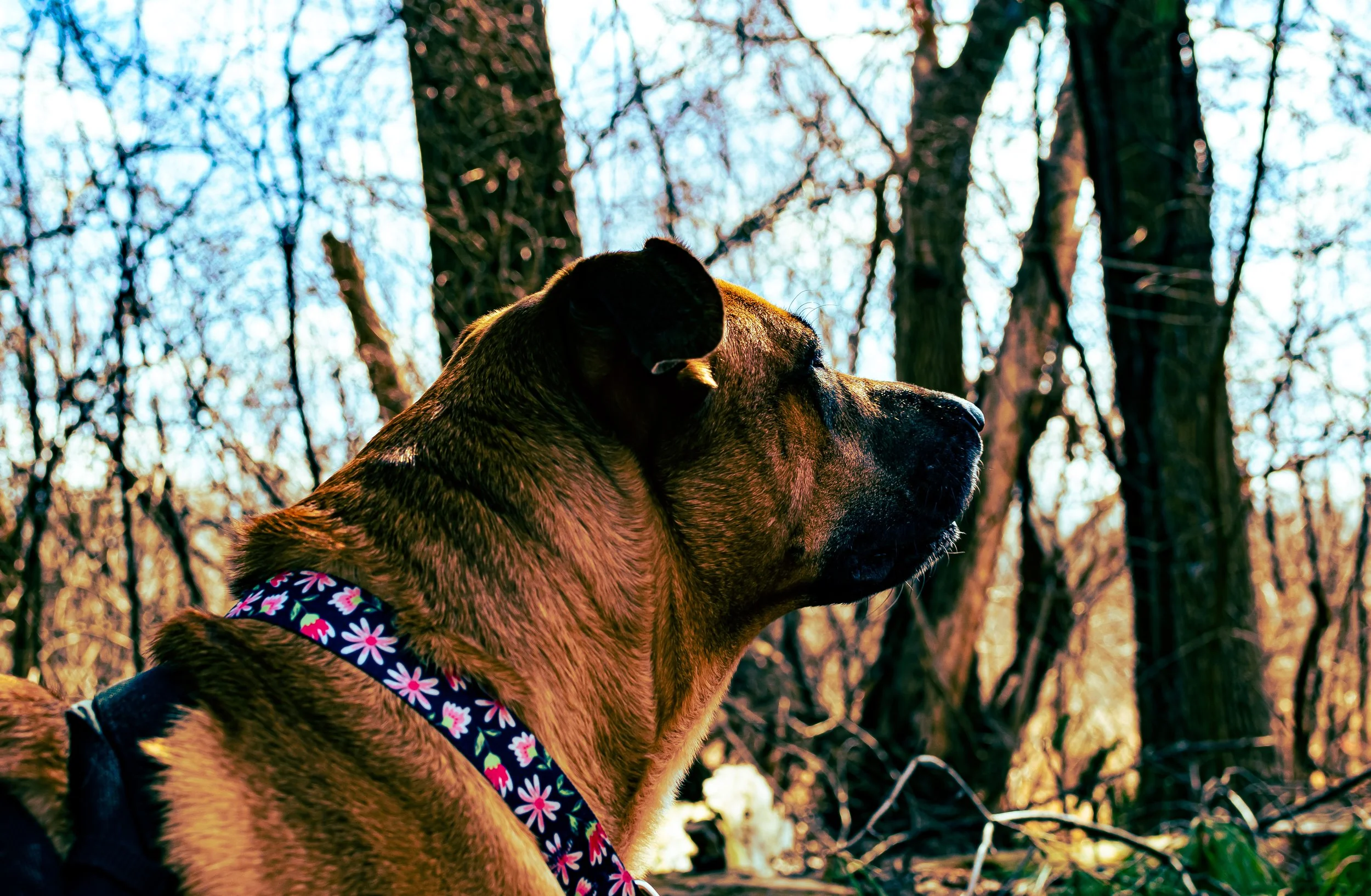 DSC_0861.jpg