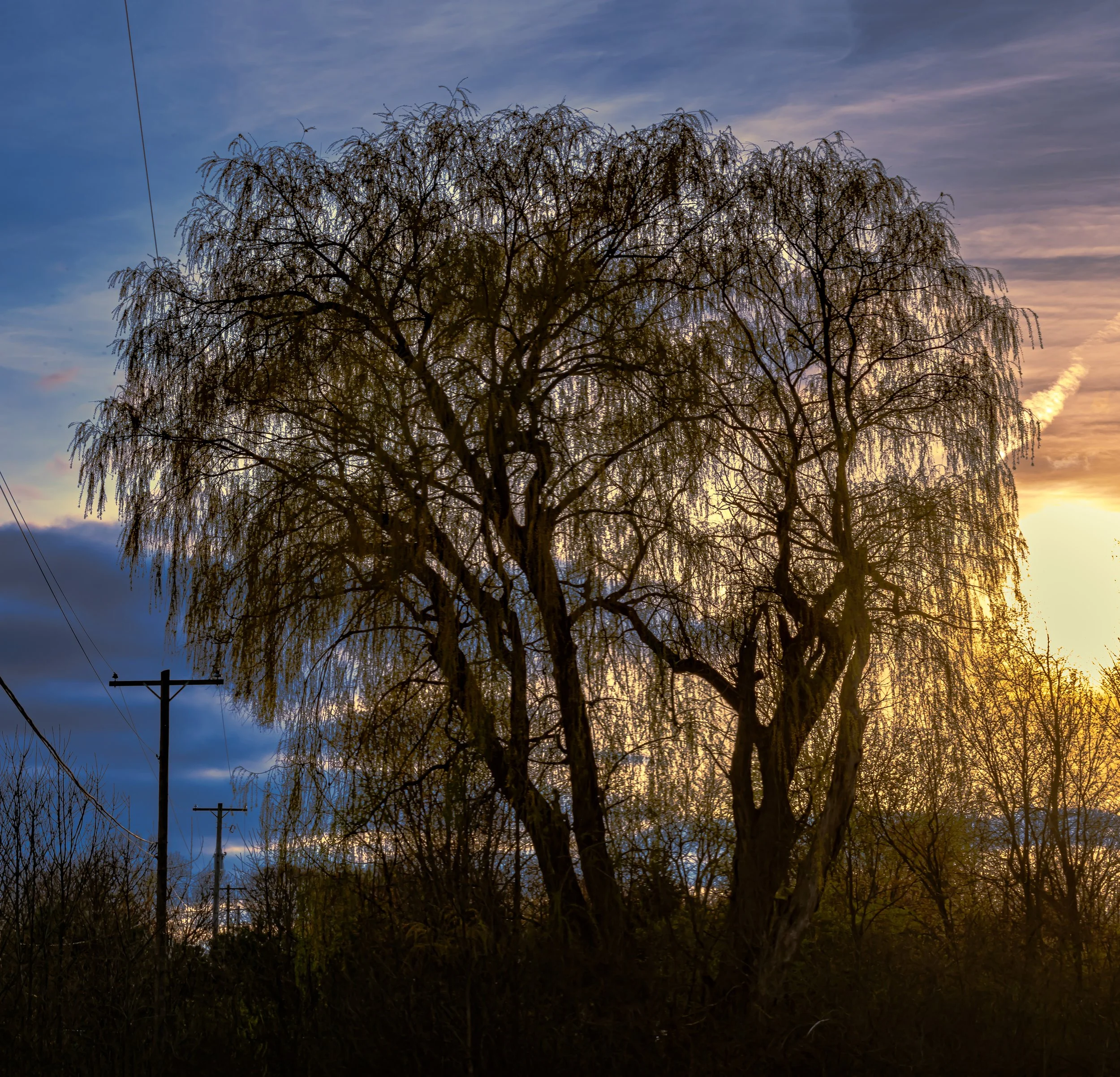 DSC_0433-Pano.jpg