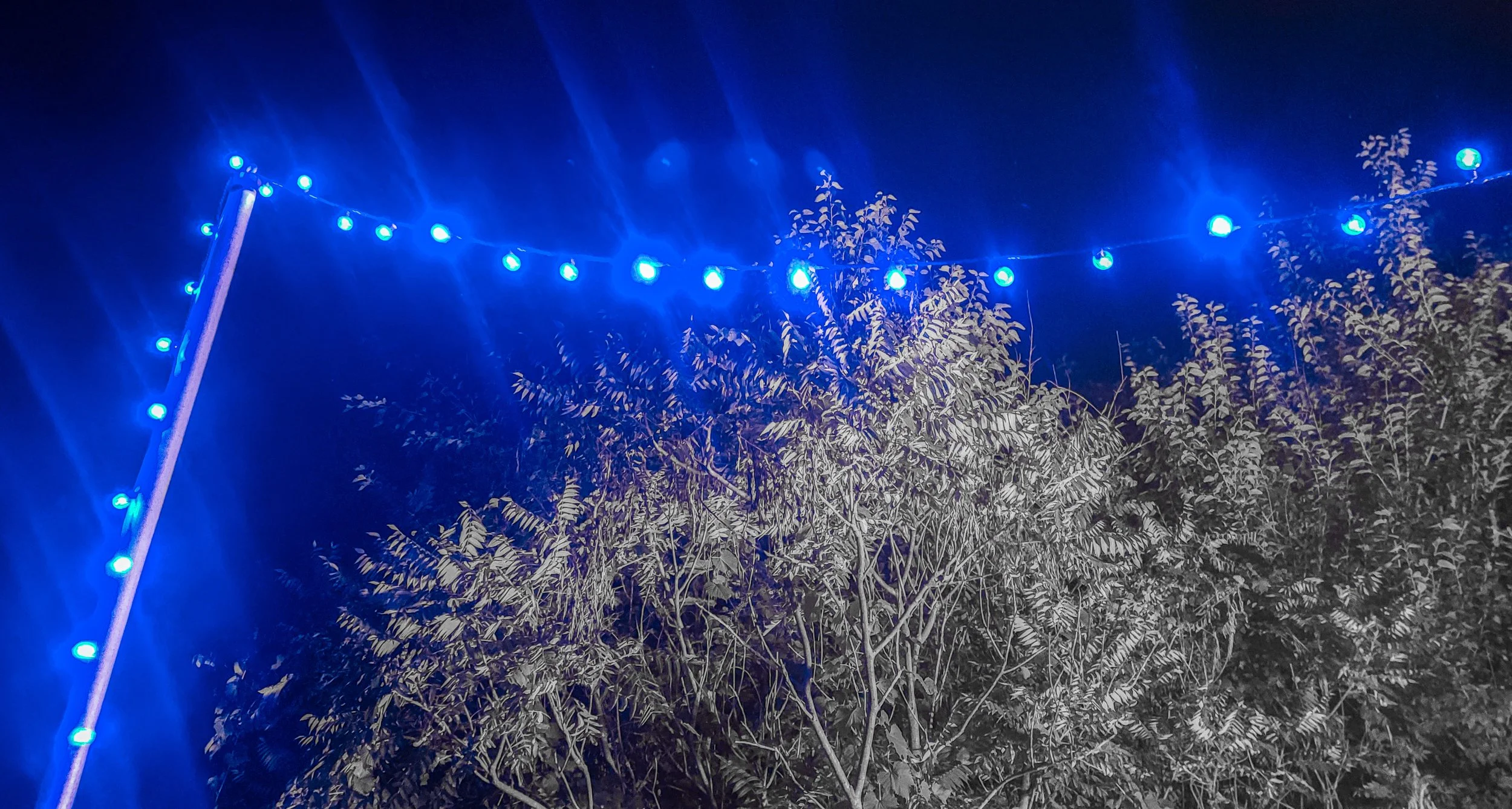20200821_225920.jpg