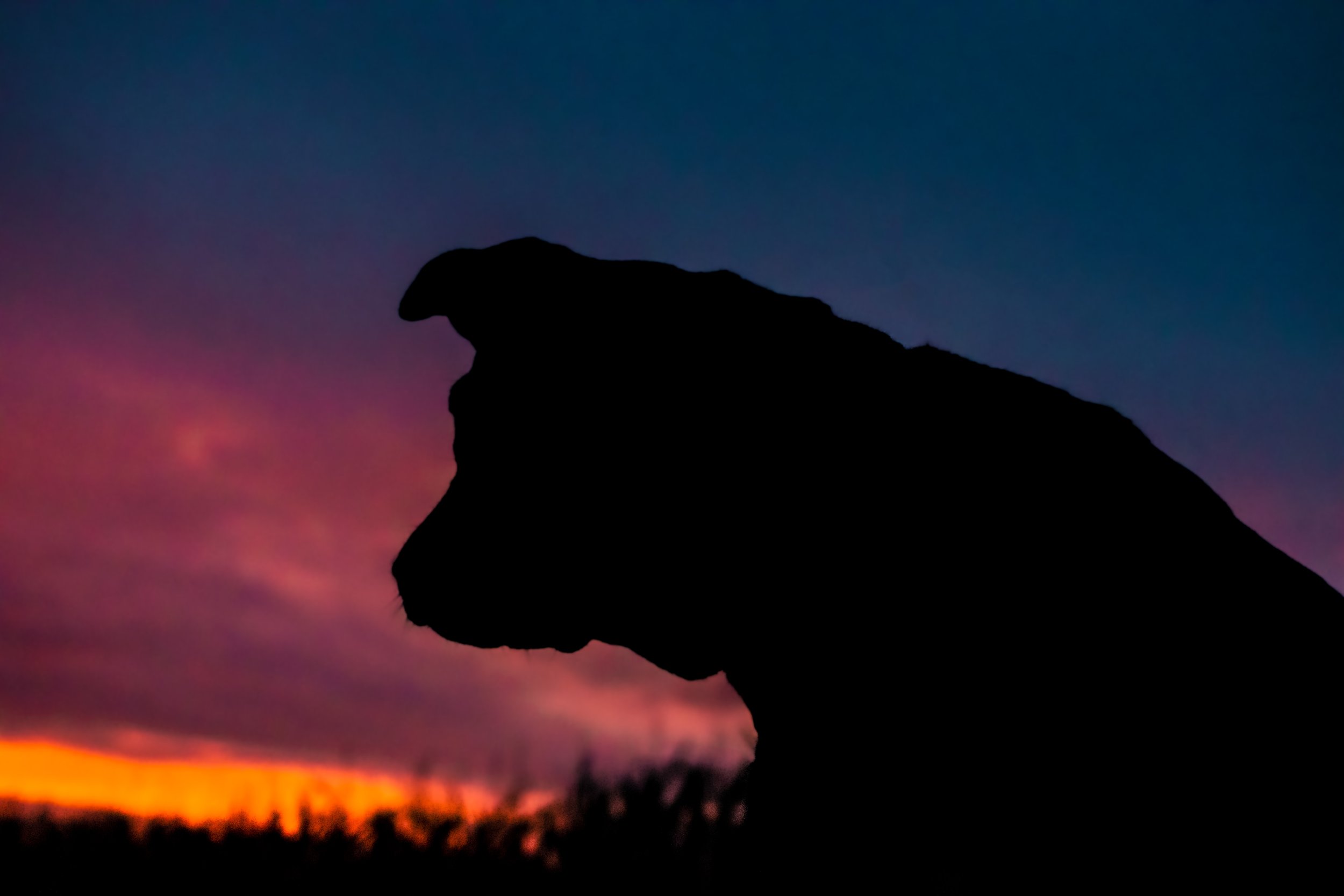 DSC_0035-Edit.jpg