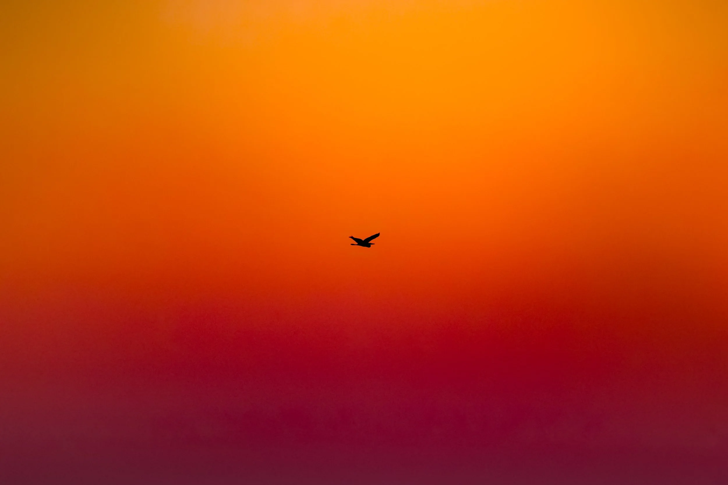 DSC_0687-Edit-Edit-2.jpg
