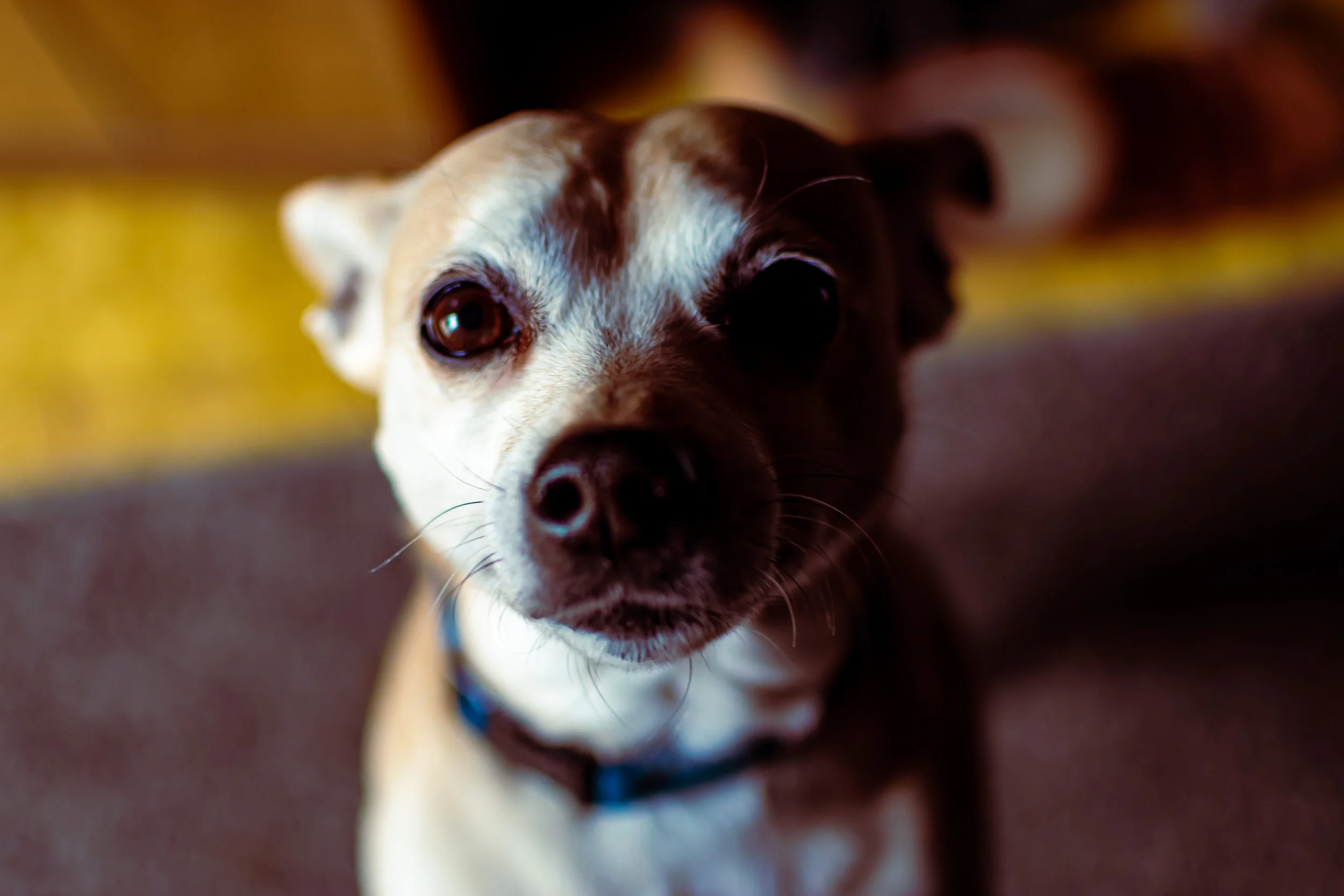 DSC_1061.jpg