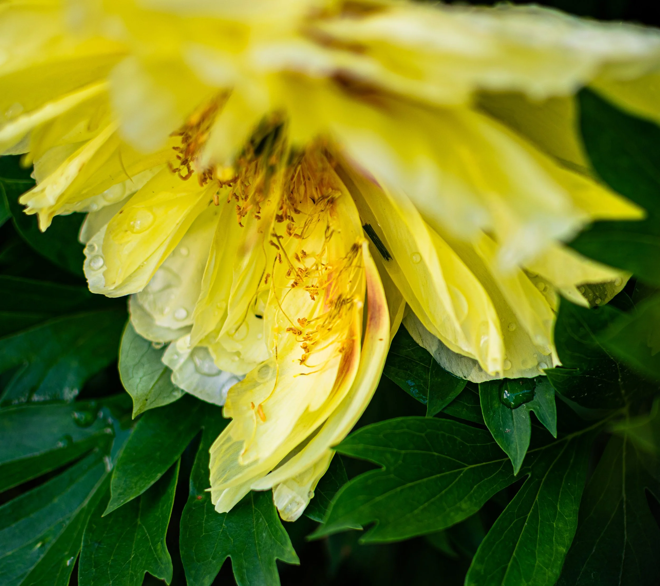 DSC_0160-Edit.jpg