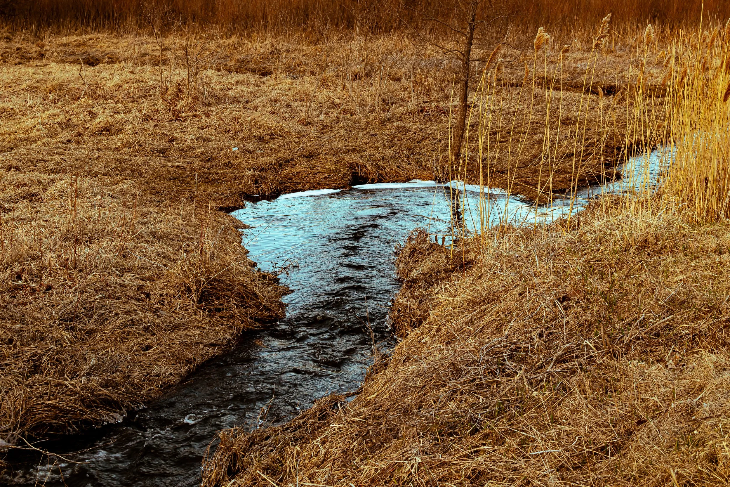 DSC_0096-Edit-2.jpg
