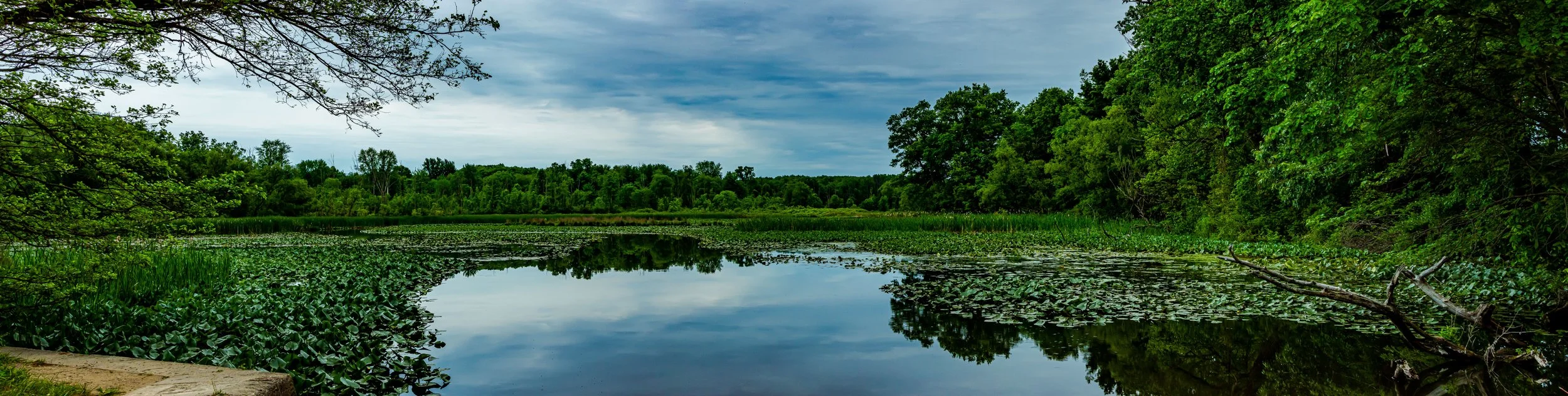 DSC_0682-Pano-Edit.jpg