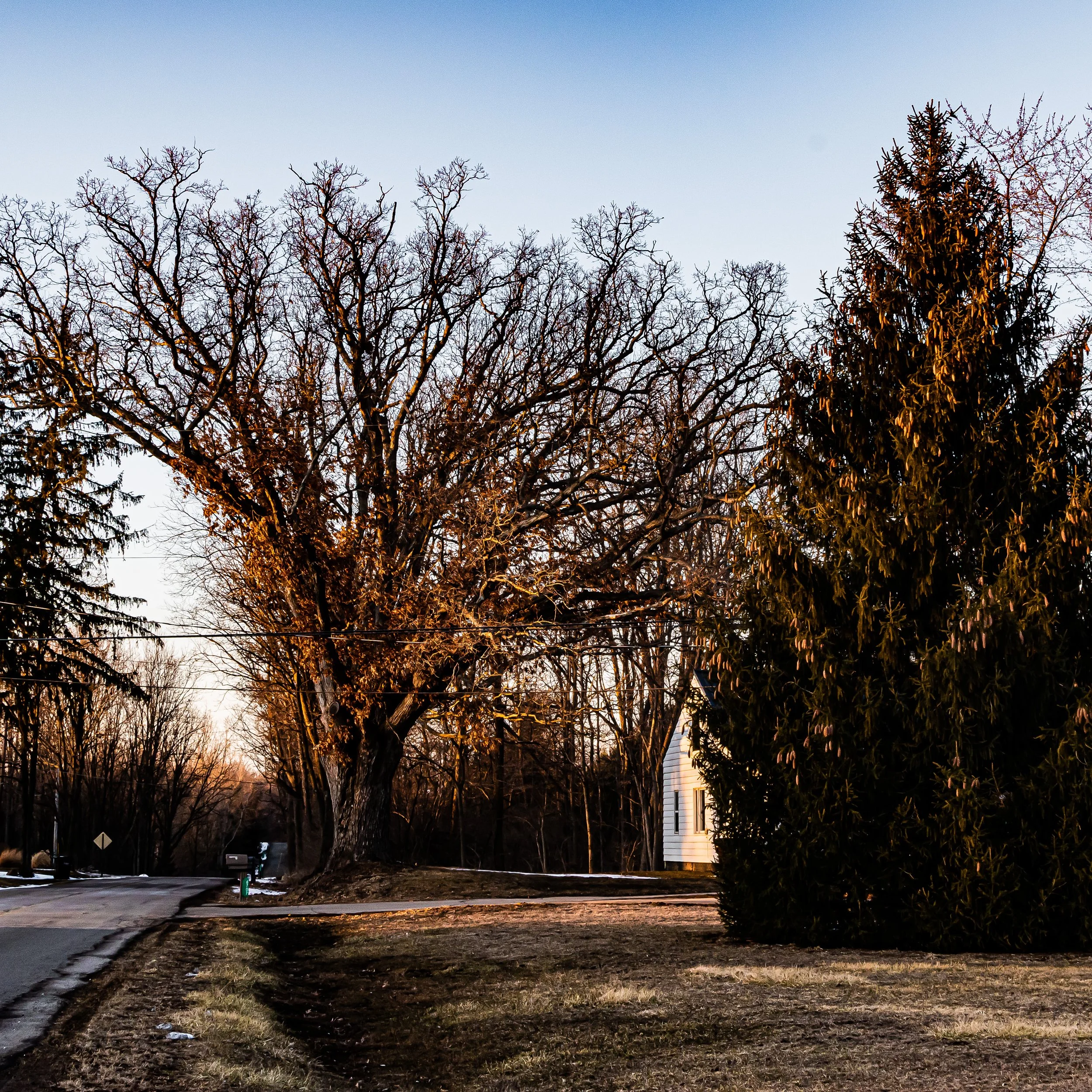 DSC_0038 (1).jpg