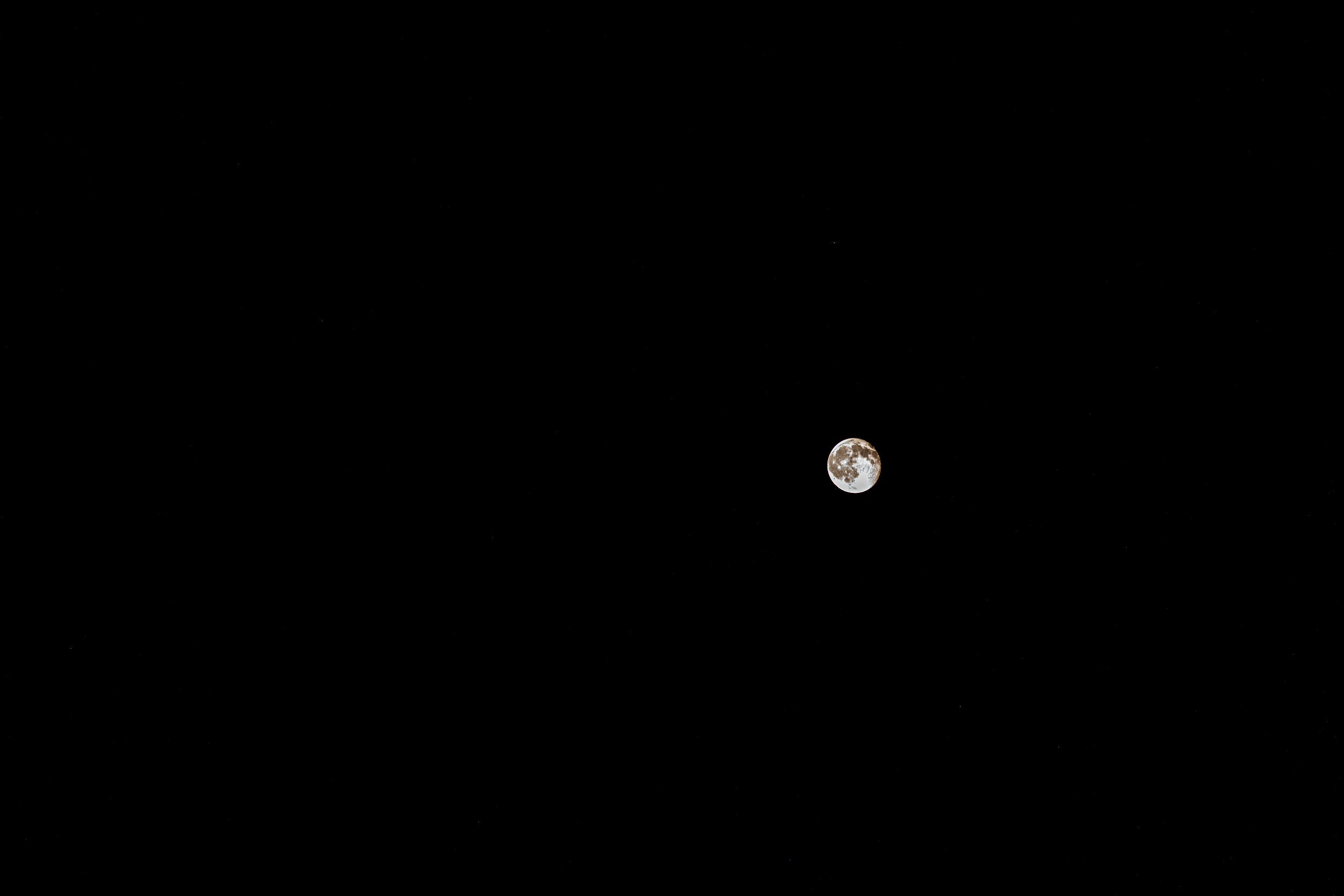 DSC_0100.png
