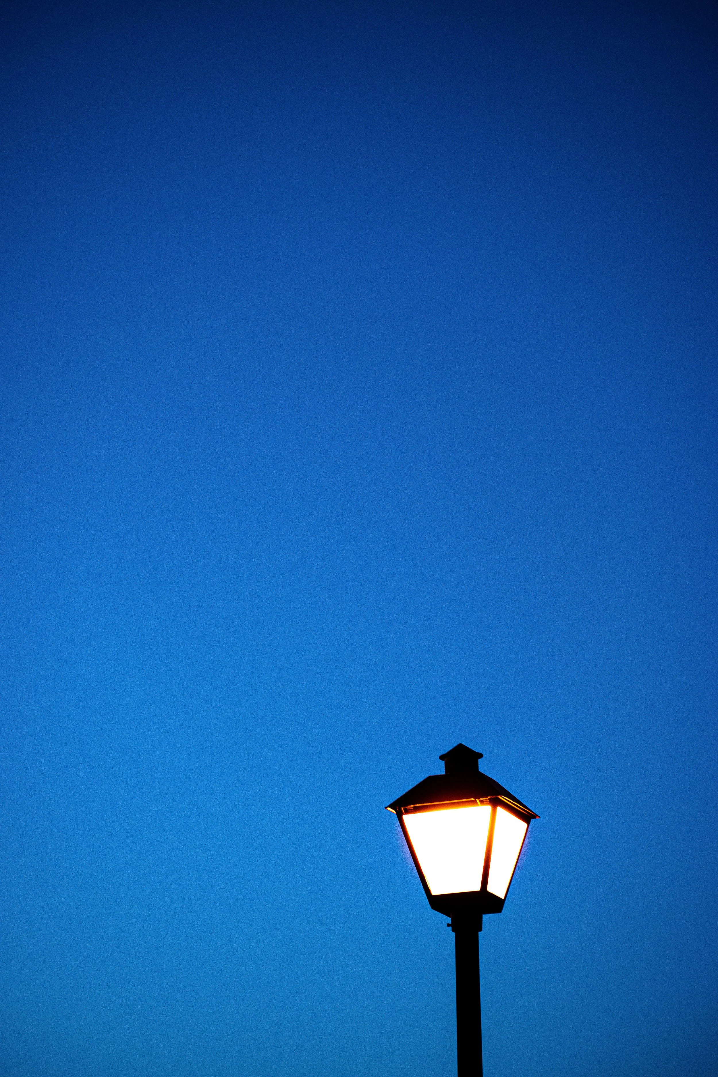 DSC_0336.jpg