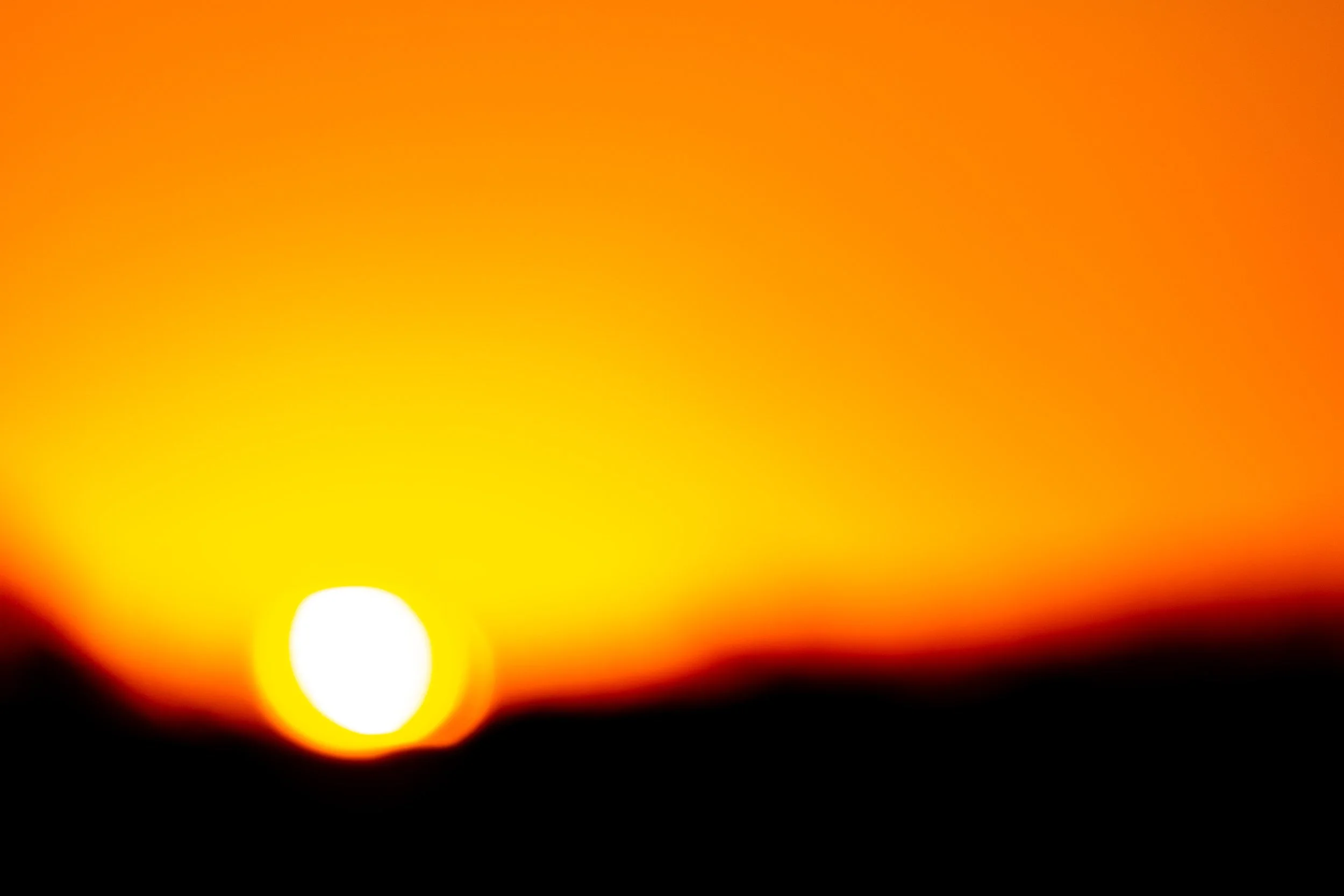 DSC_0705.jpg