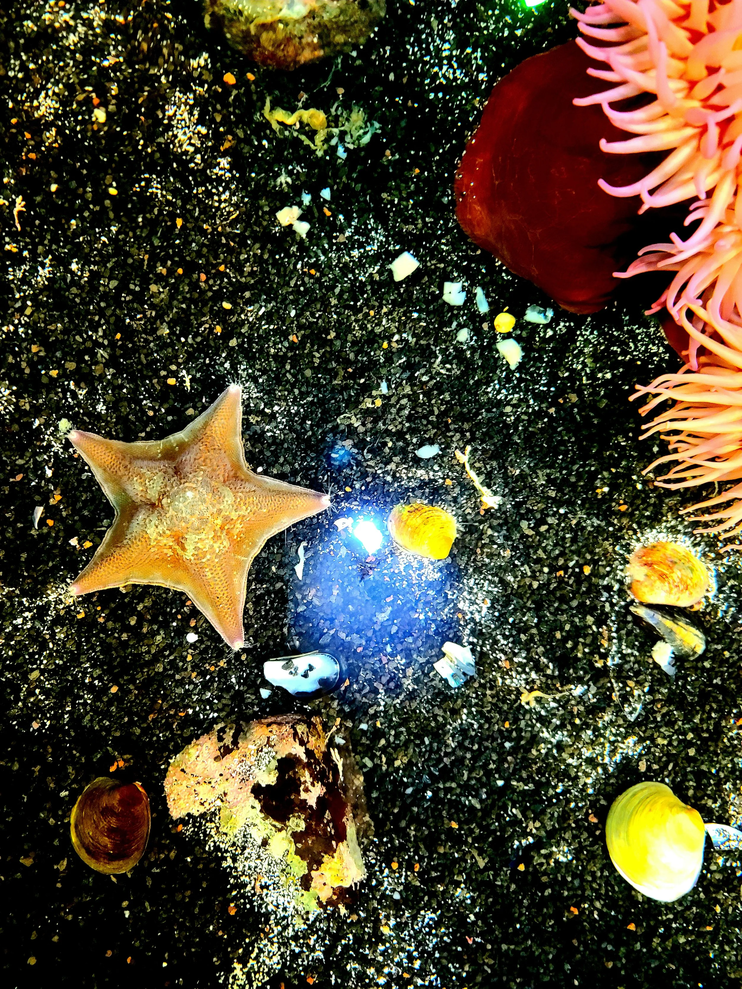 20210428_142135.jpg