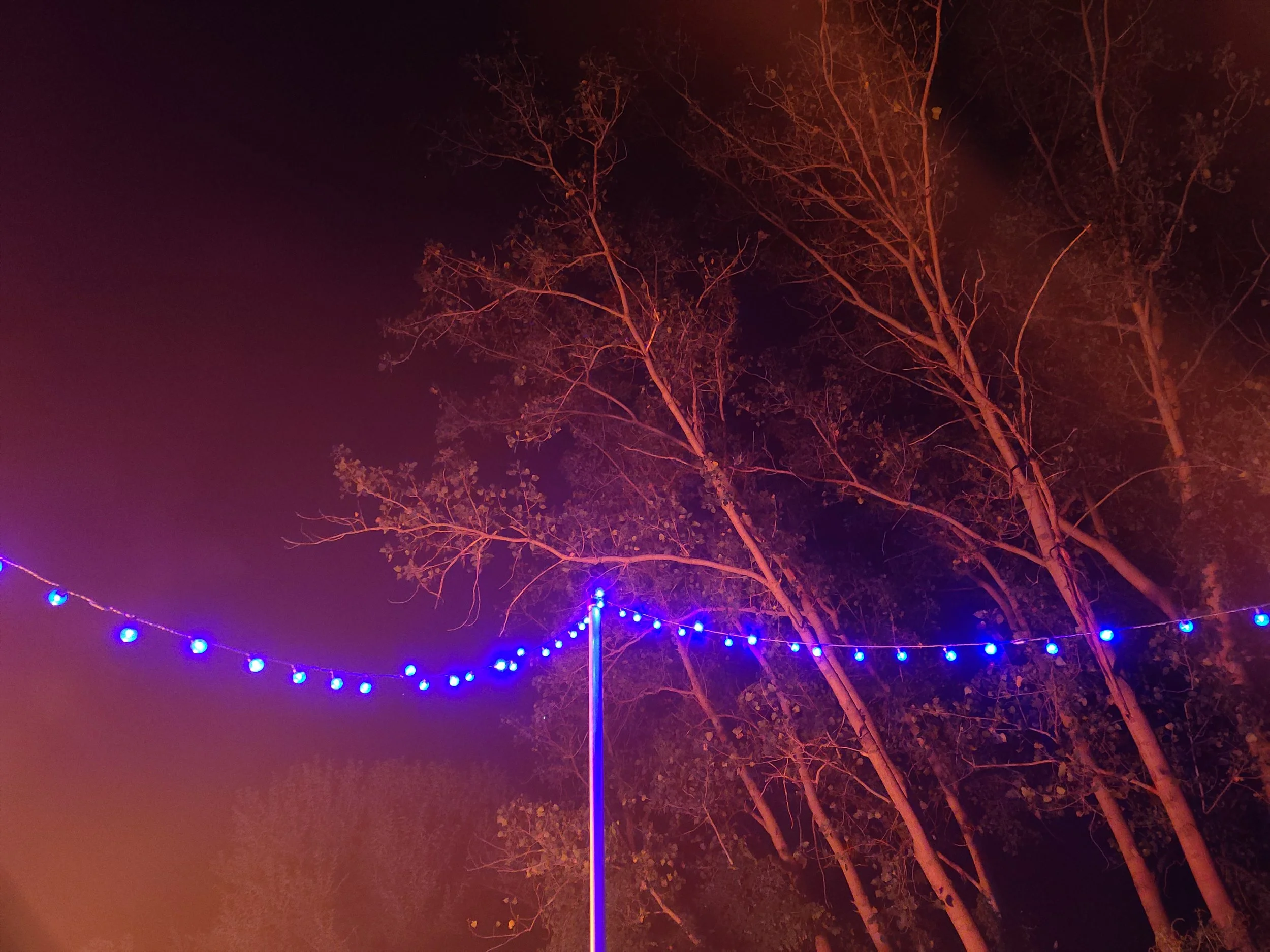 20200821_225500.jpg
