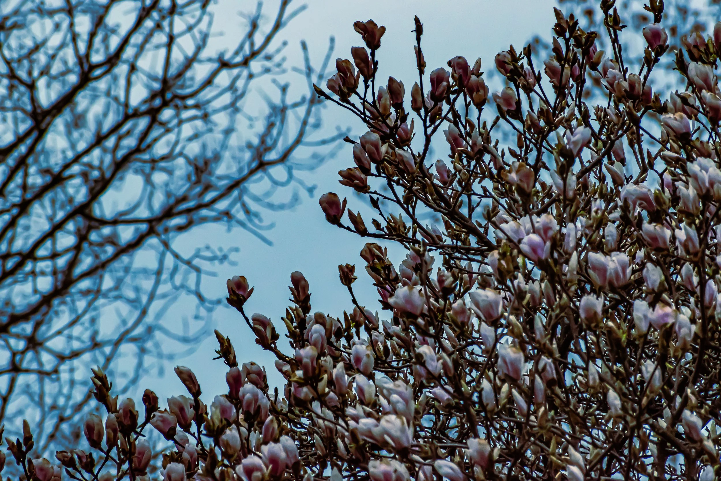DSC_0428.jpg