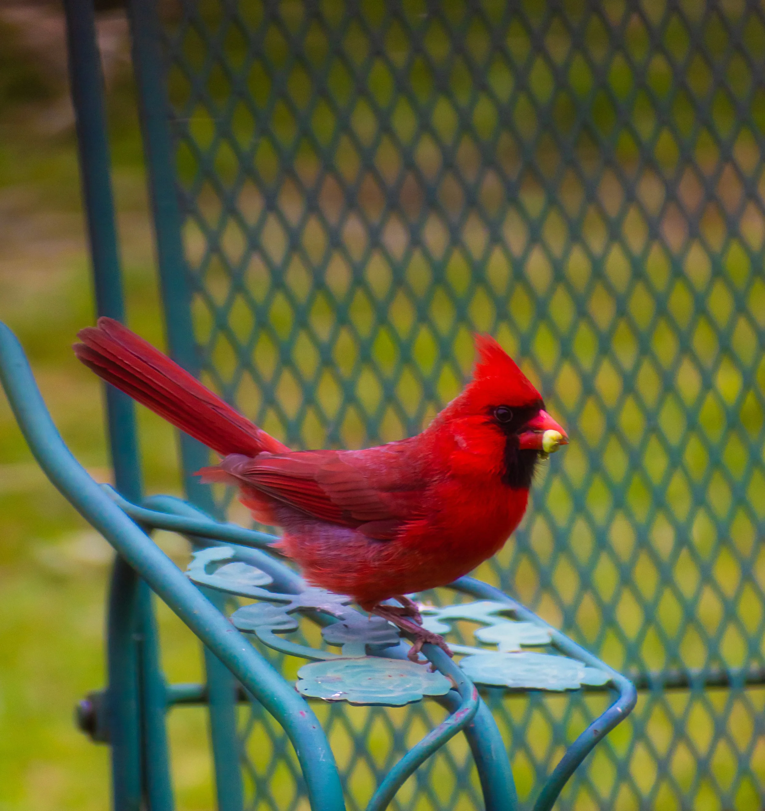 DSC_0141.jpg