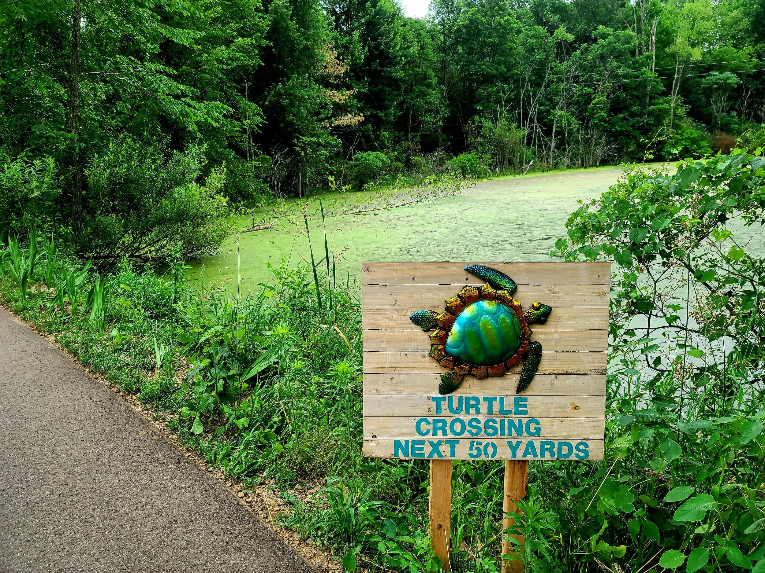 20200719_032220.jpg