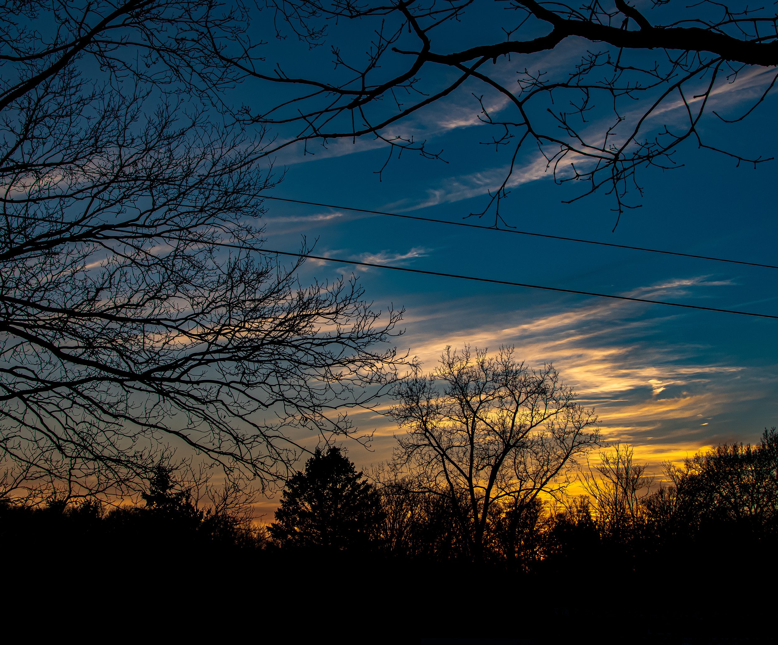 DSC_0045 (1).jpg