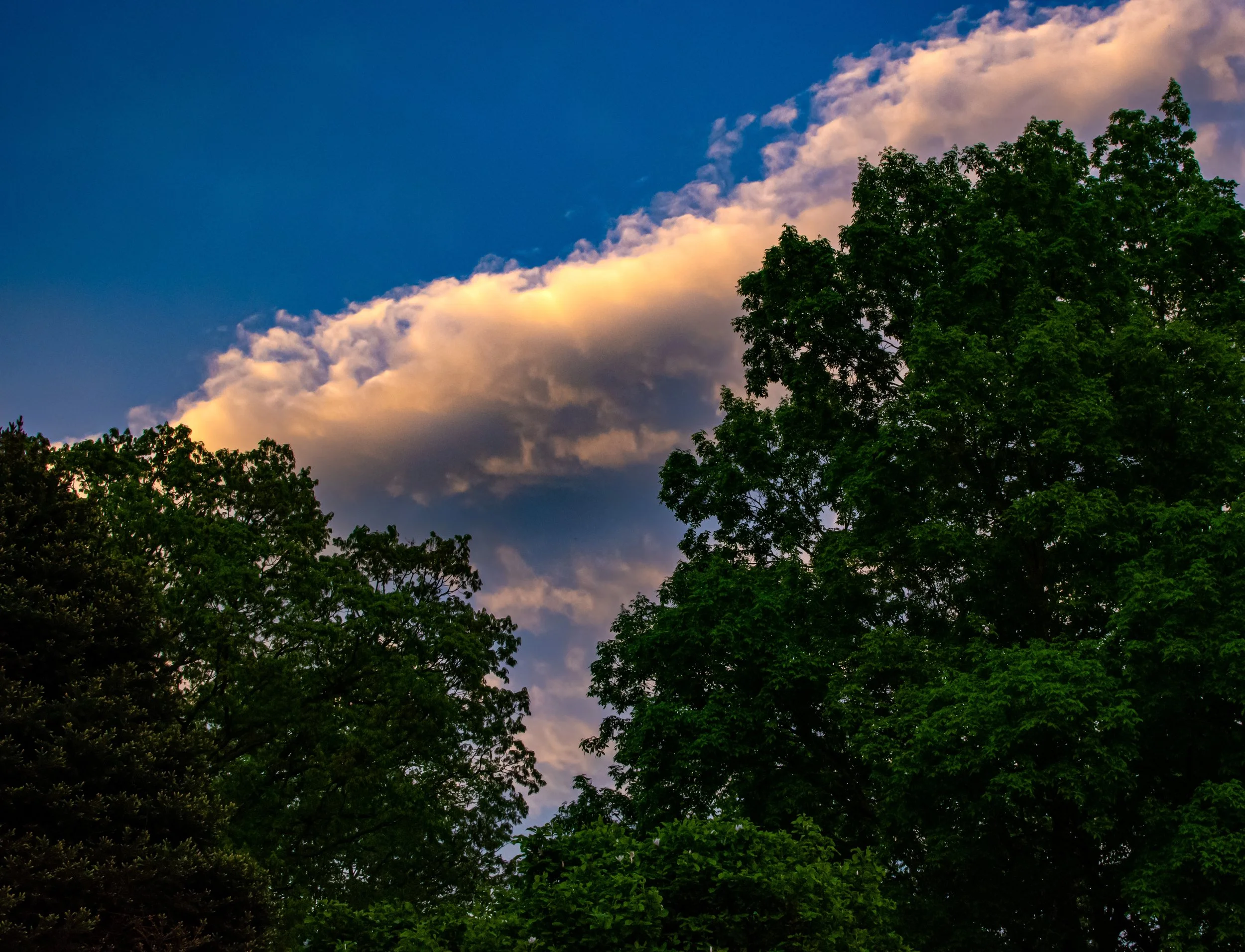 DSC_0075 (2).jpg