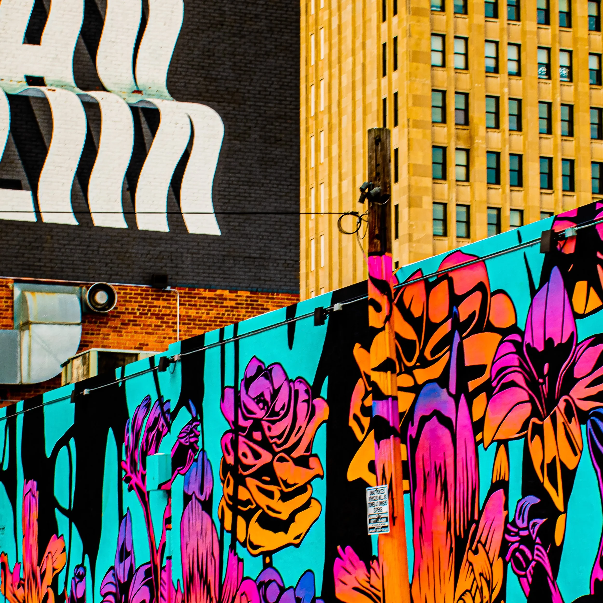 DSC_00509999.jpg