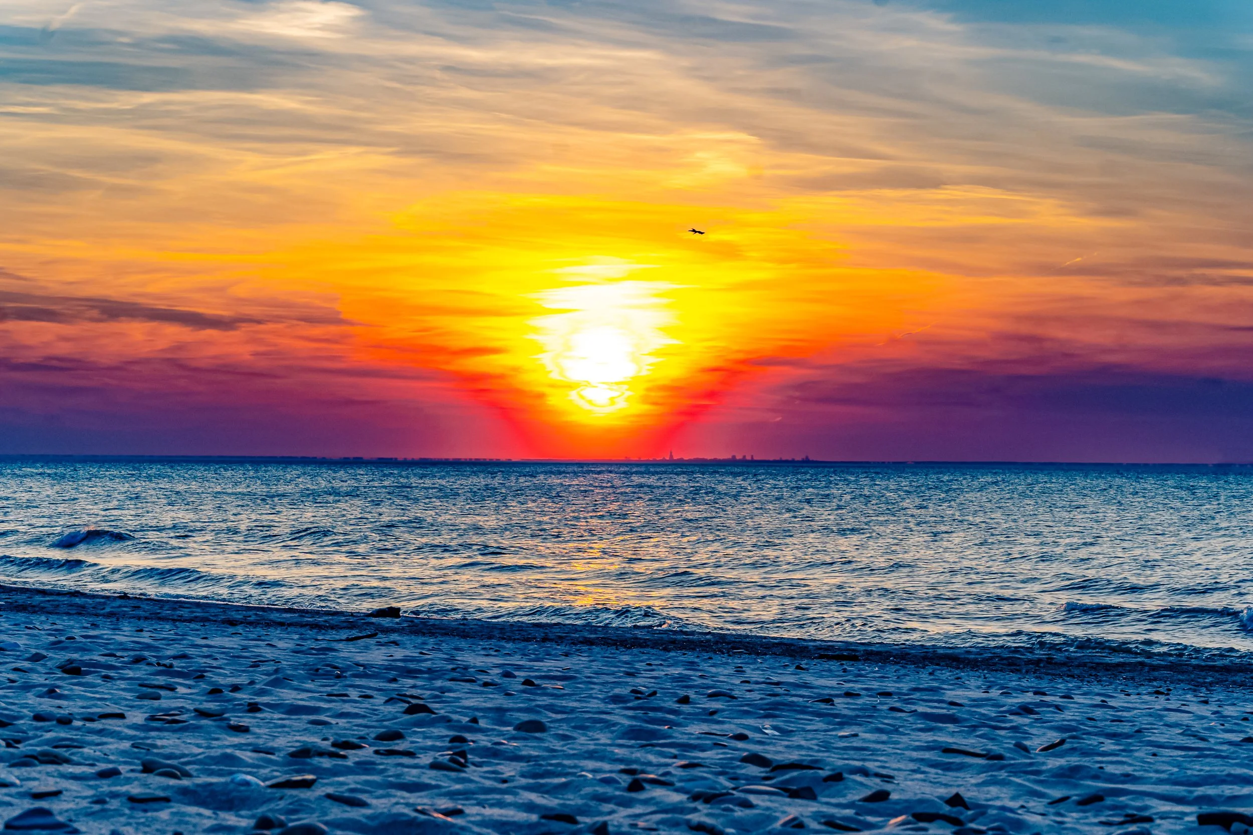 DSC01797-Edit.jpg