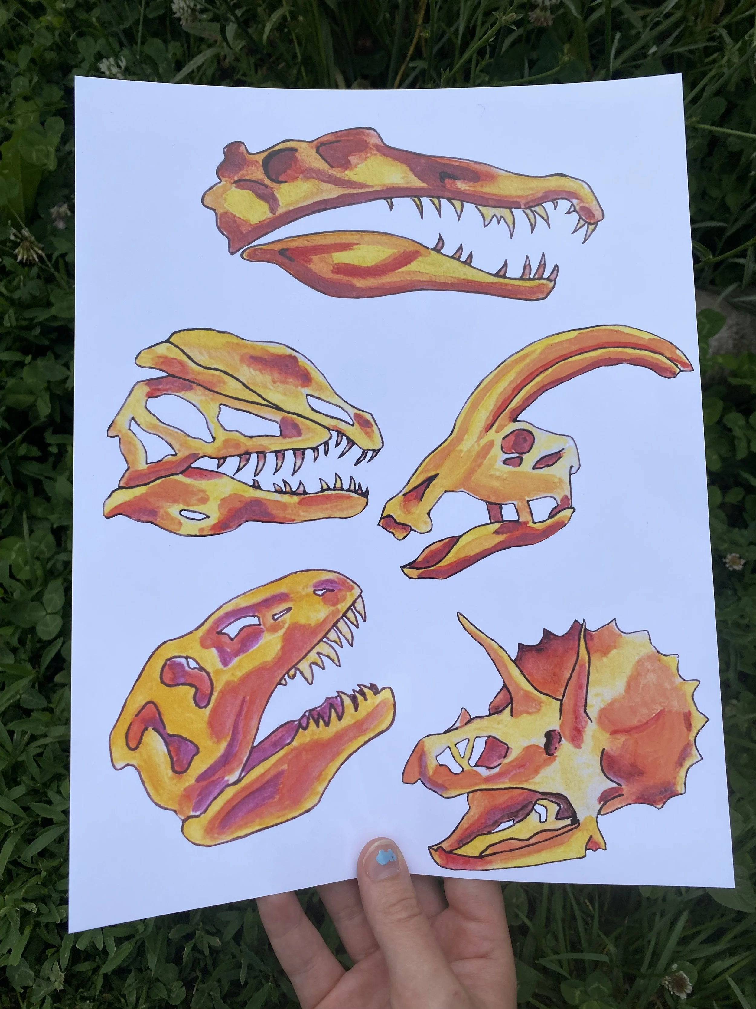 Dinosaur Skull Sticker Sheet