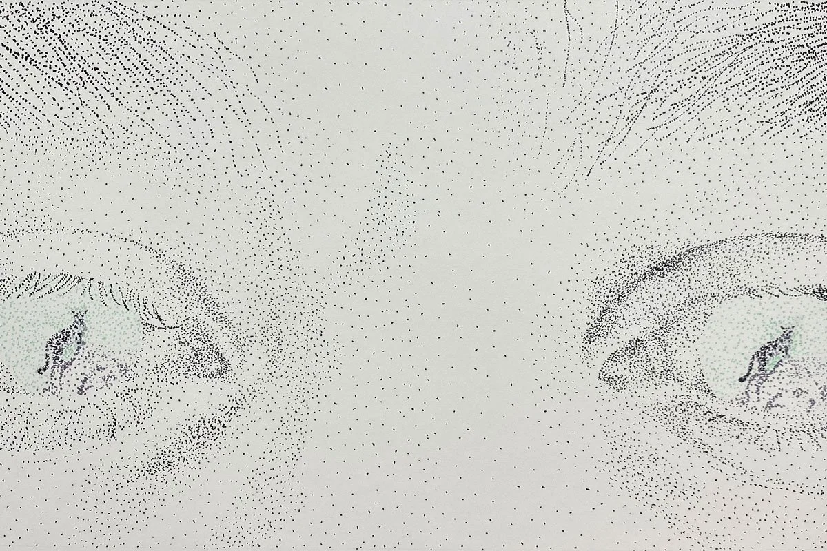 07-2728204_IntoTheSoul.jpg