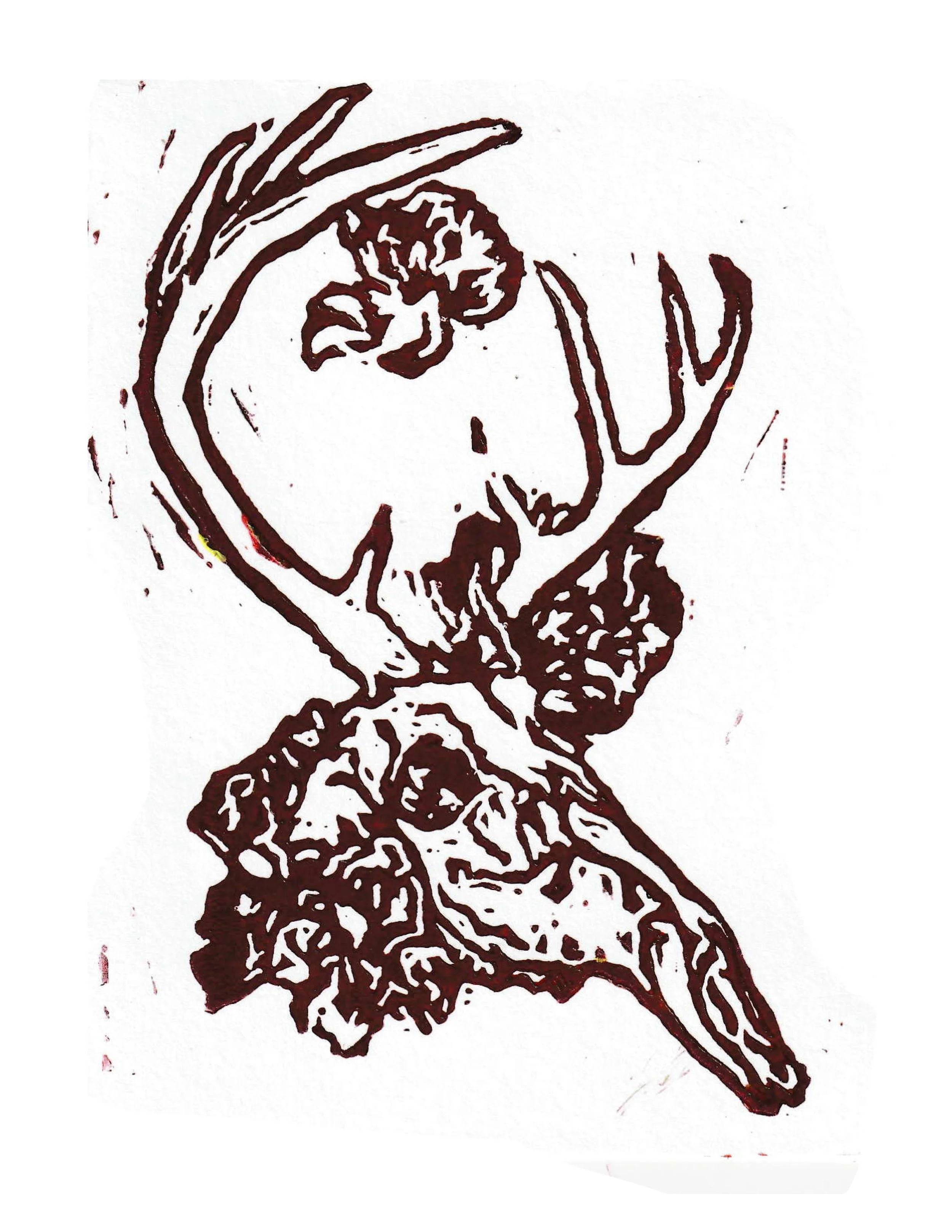 Odocoileus Virginianus Red.jpg