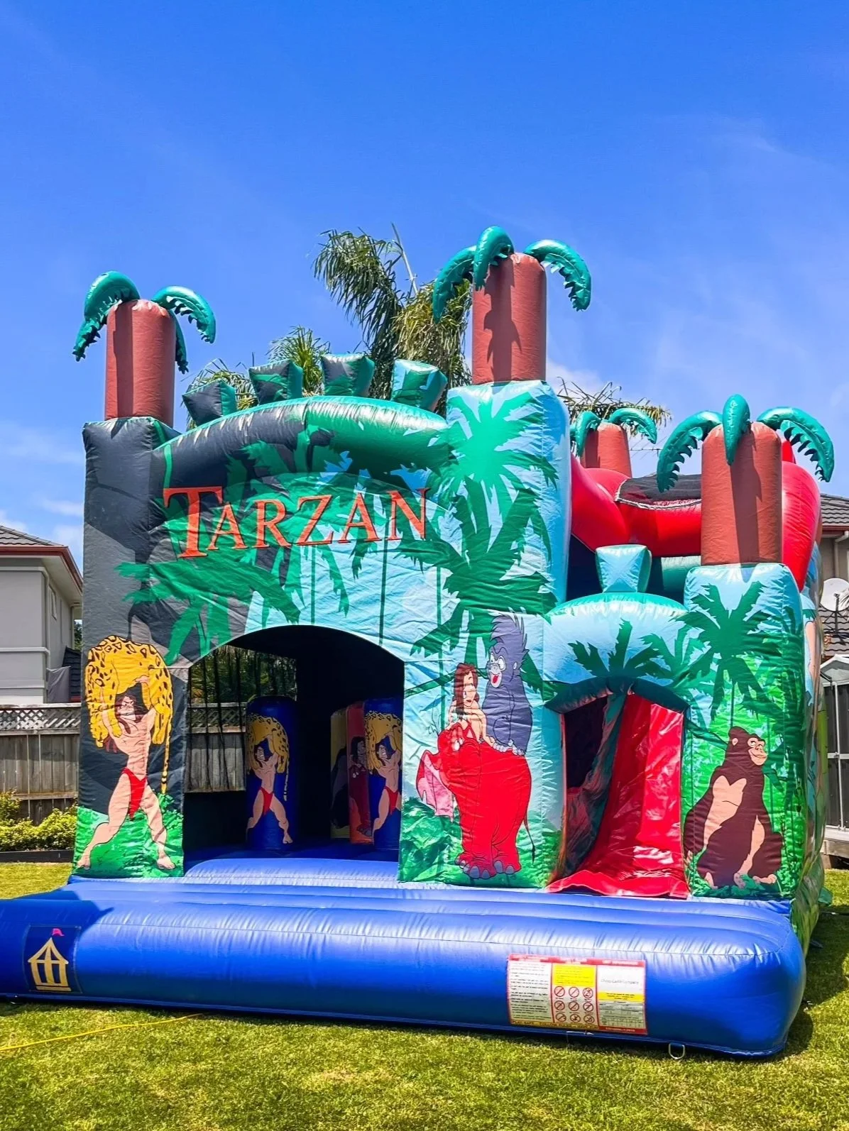 5x6 Tarzan Superslide