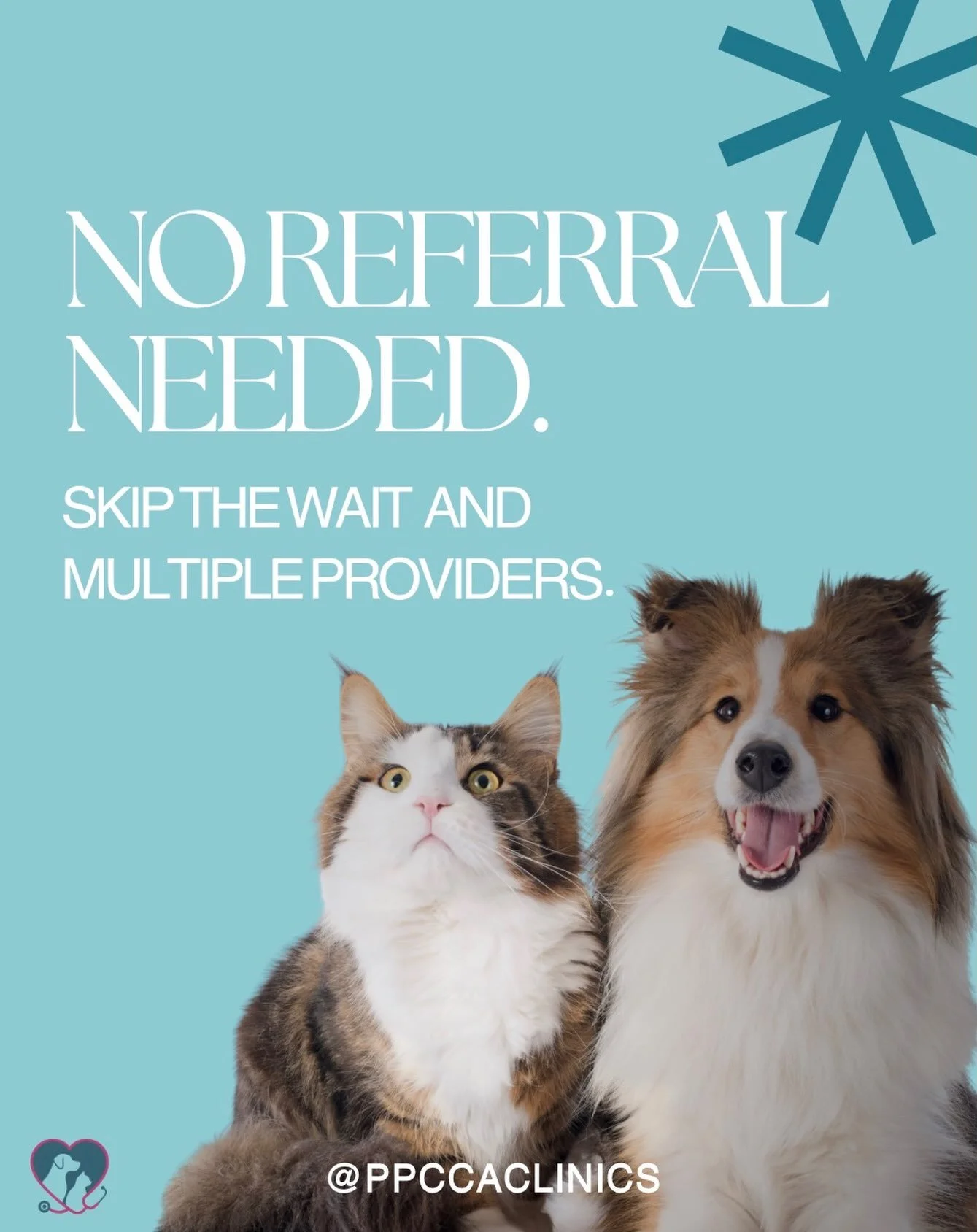 No referral needed = faster care for your pet 🐾

Skip the delays. 
Get direct access to our oncology team.

At PPCCA Clinics, we make cancer care more accessible so your pet can start treatment sooner.

Because time matters. 🎗️🩵

#PetCancerCare #P