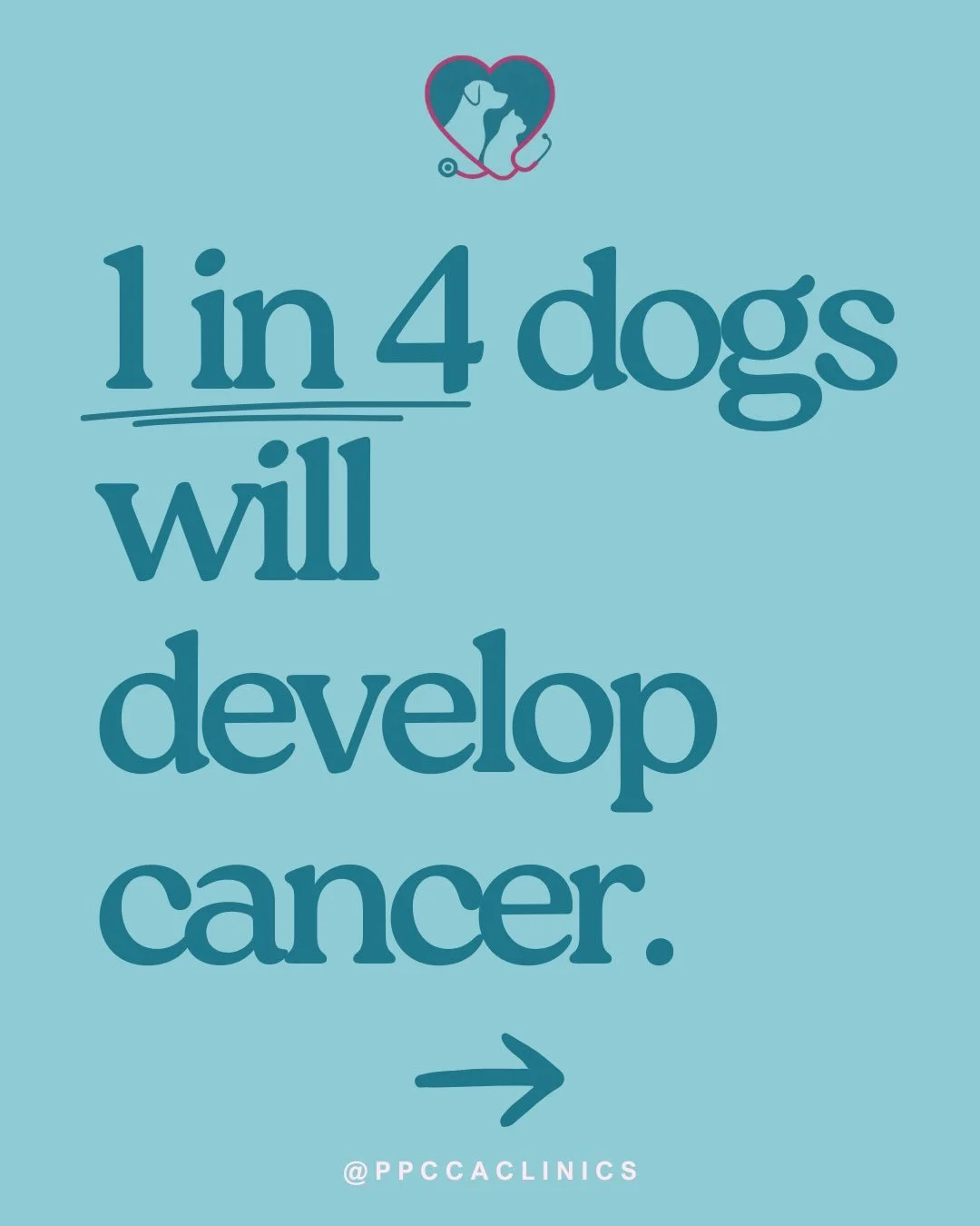 No referral needed = start cancer care immediately 🐾 
Because your pet deserves treatment without unnecessary delays 🩺❤️

📍PPCCA Clinics coming soon to Scottsdale 🎗️

#phoenixvet #ScottsdaleVet #petcancer #scottsdalepets #phoenixpets