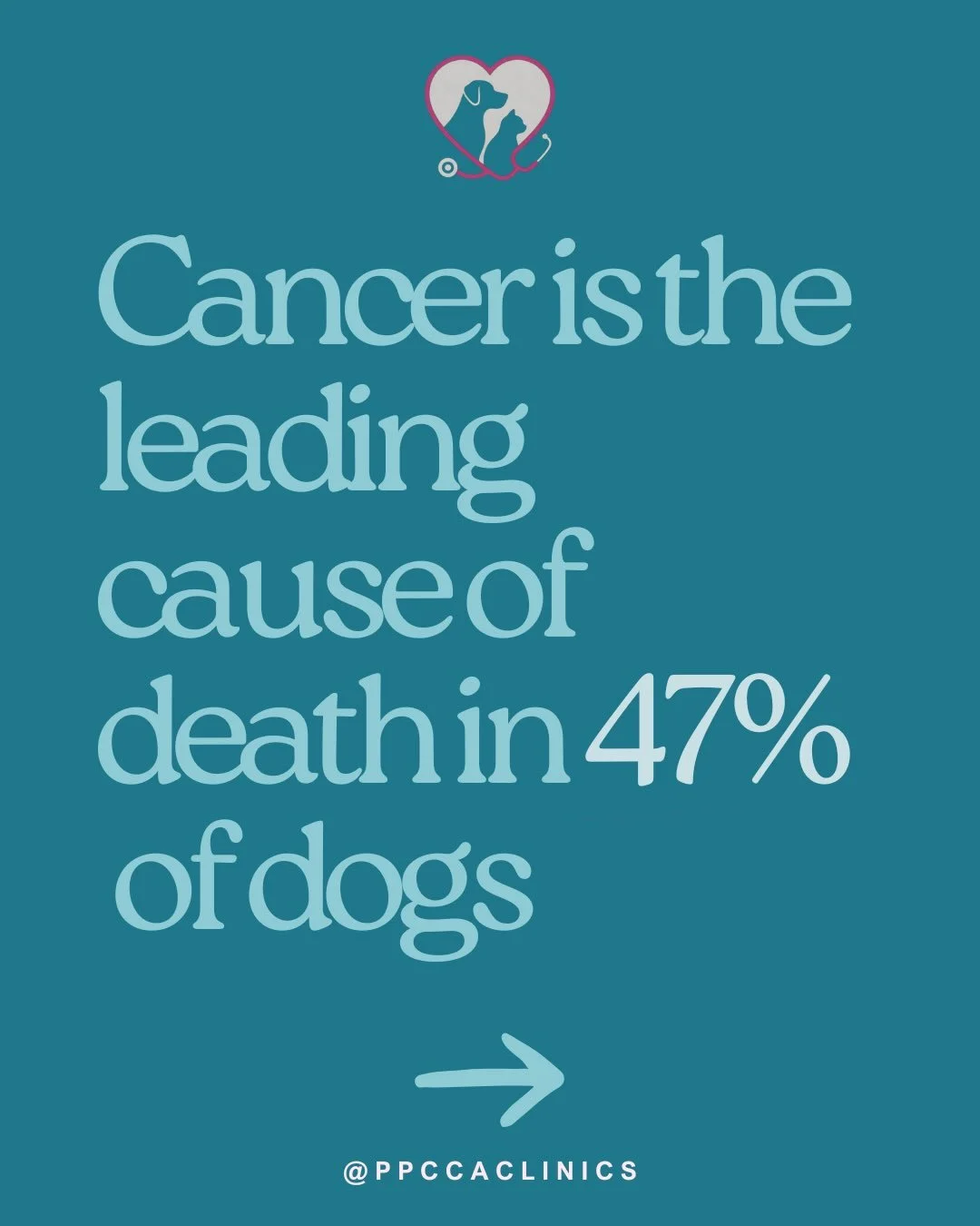 Cancer is the leading cause of death in 47% of dogs 🐶
But early detection changes everything.
At @ppccaclinics , we make expert cancer care accessible &mdash; no referral needed. Schedule with us directly at the first concern! 🩺🎗️

In-house diagno
