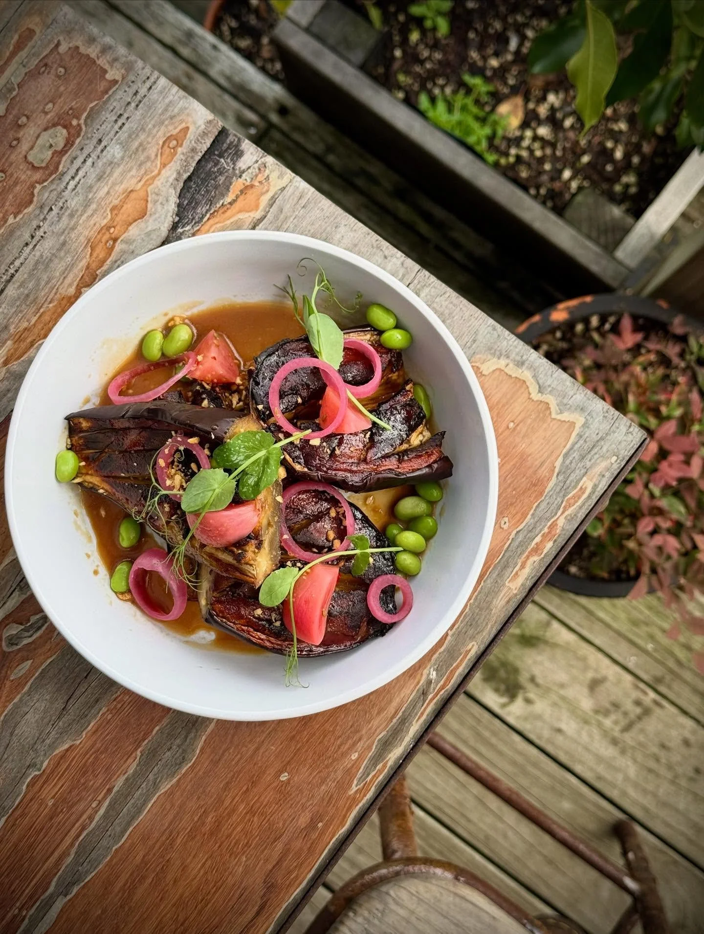 New dish dropping&hellip;
Miso roasted eggplant, soy mirin dressing, radish &amp; edamame
