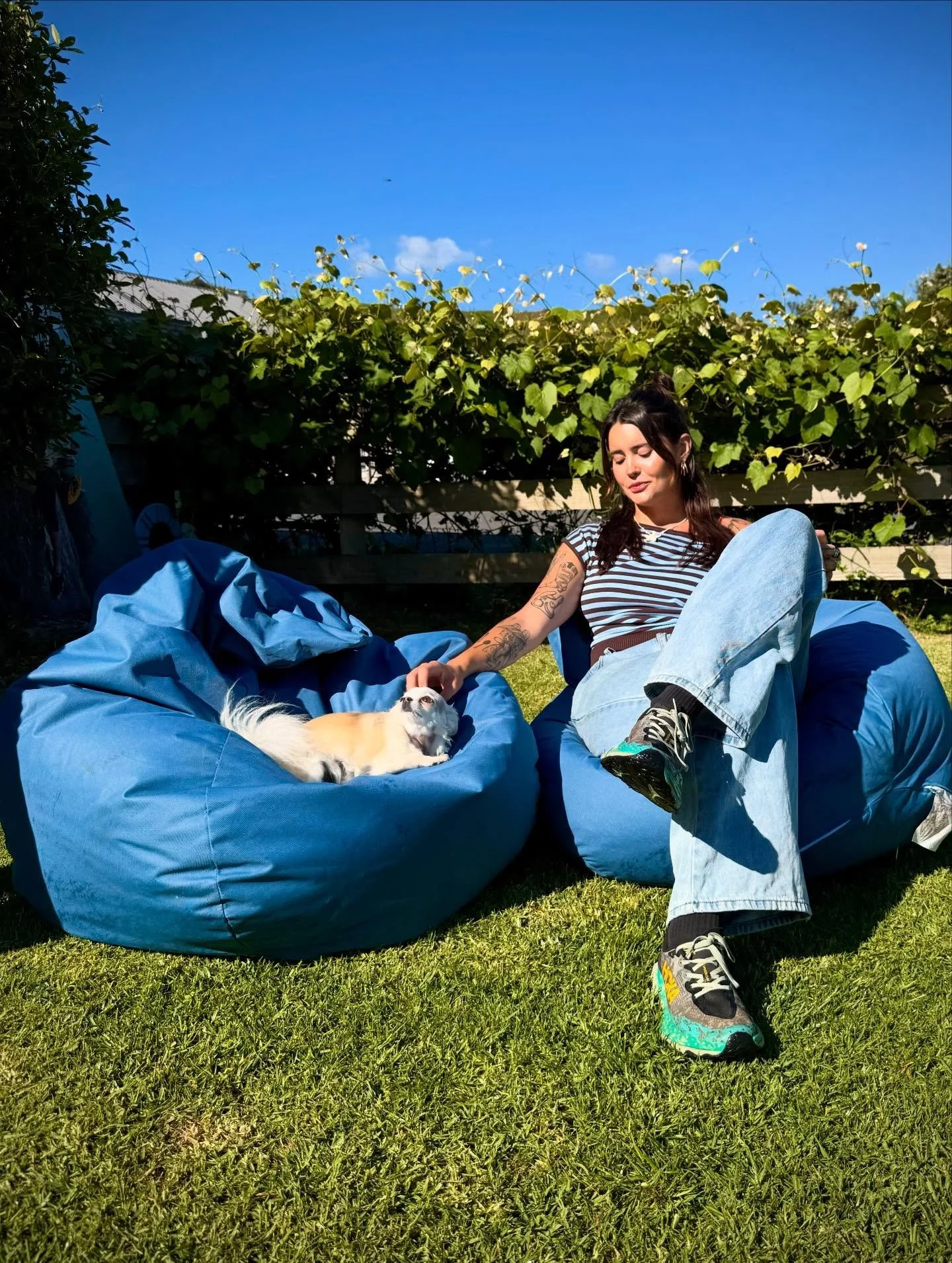 We now have beanbags! In case you needed more reason to get stuck in the garden 🌱