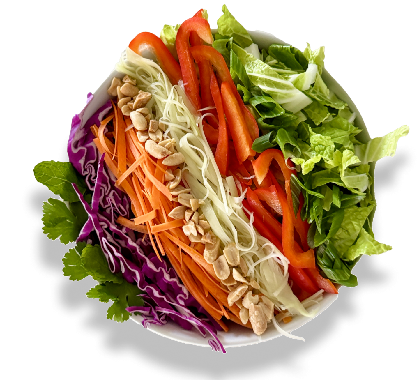 Sprout Salads