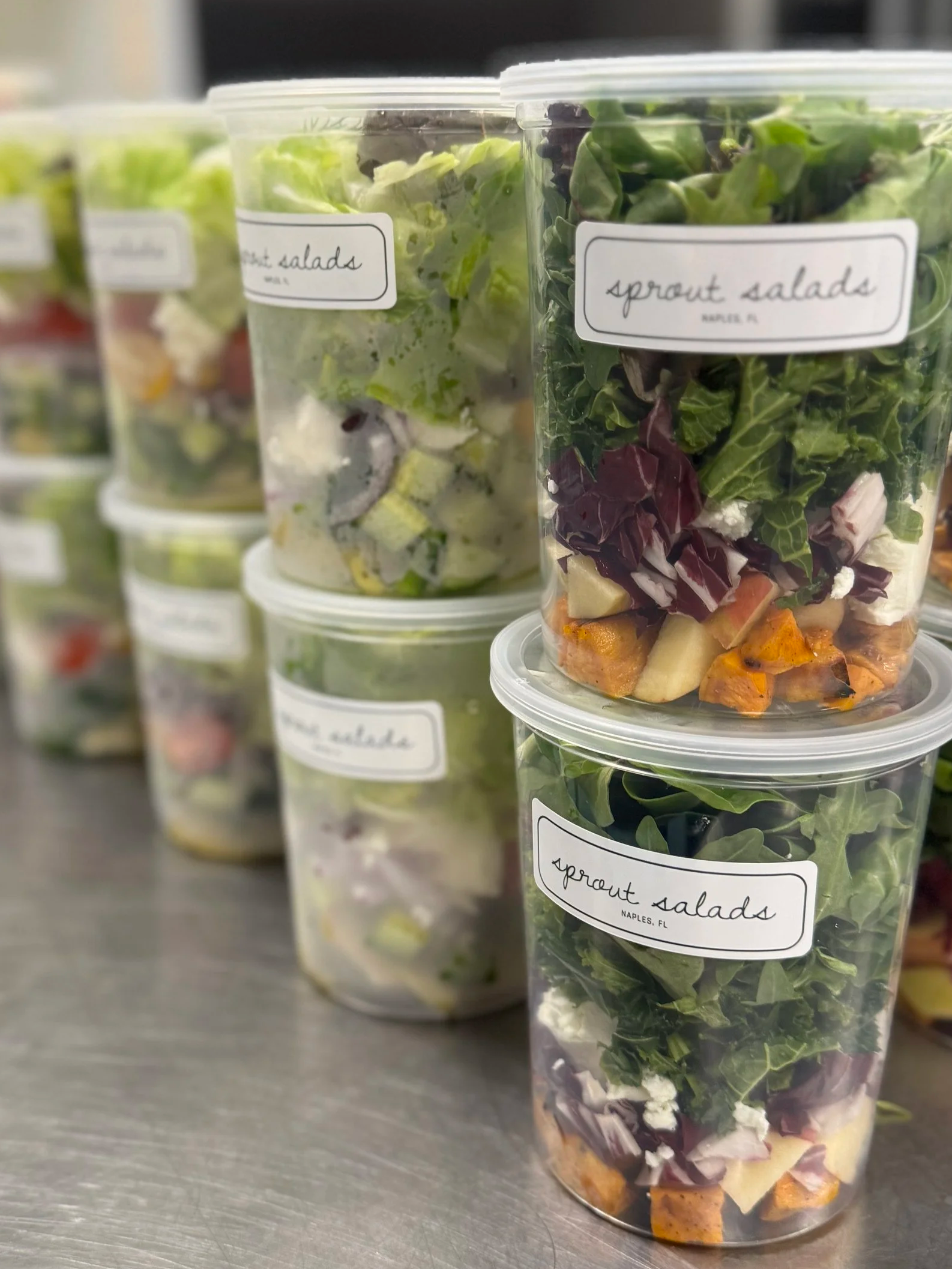 Sprout Salads
