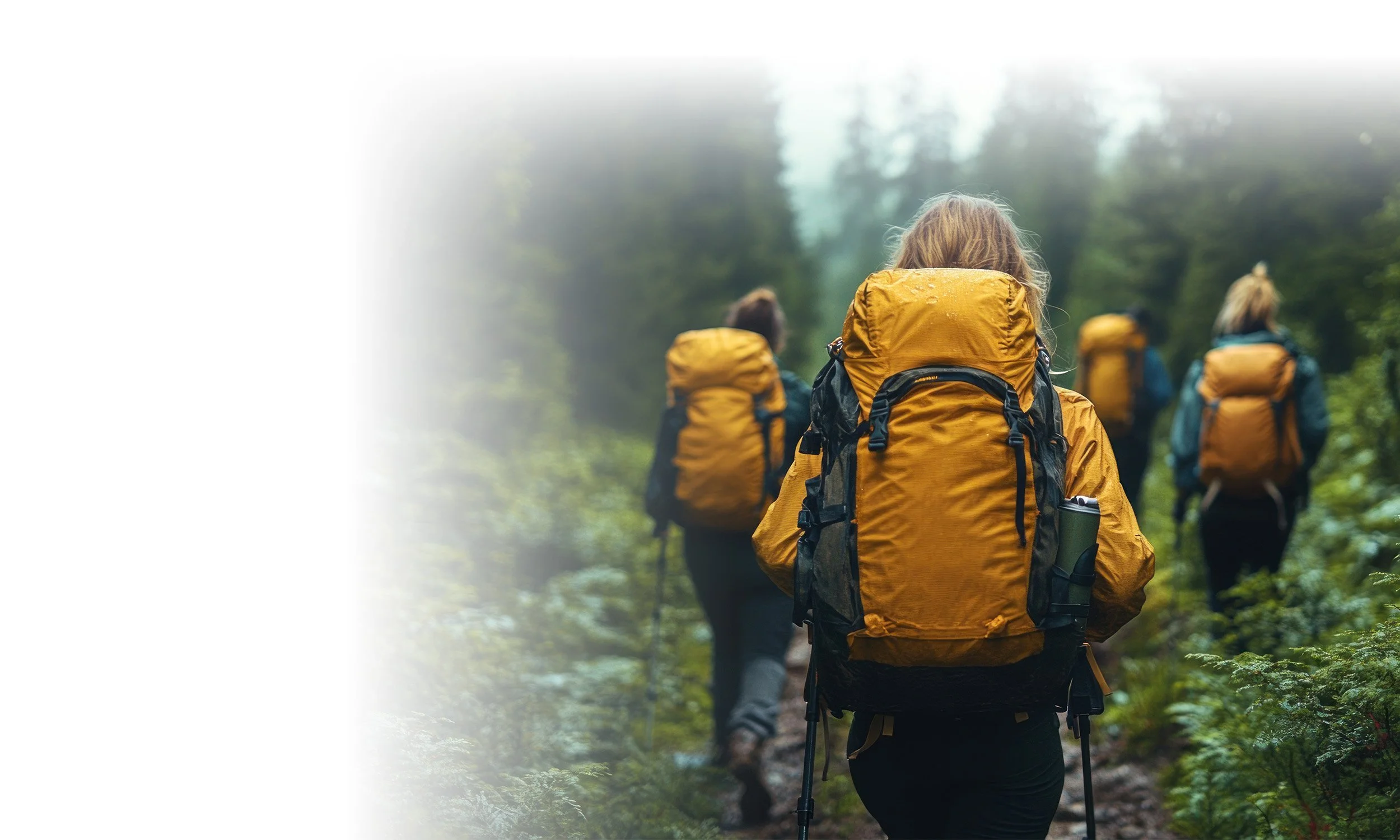 Group of people hiking in a lush forest with yellow backpacks